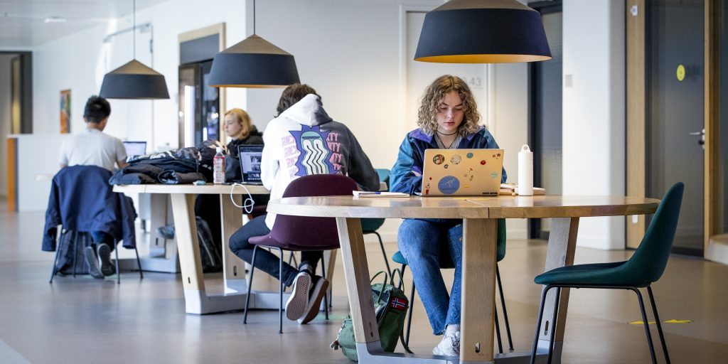 studenten werkgevers populair
