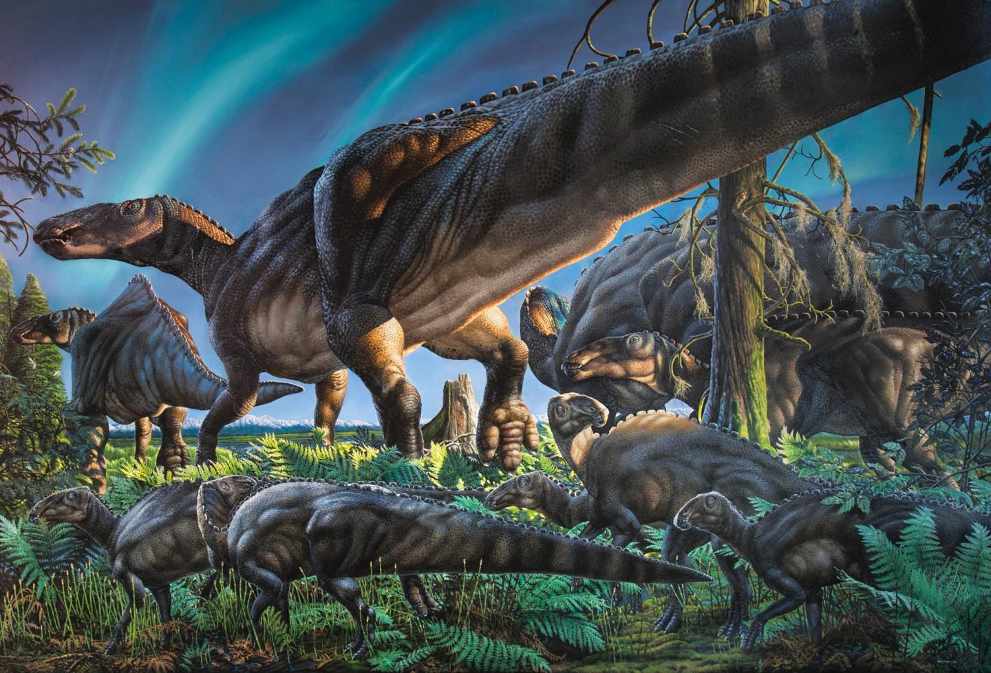 Arctic dinosaur hadrosaur