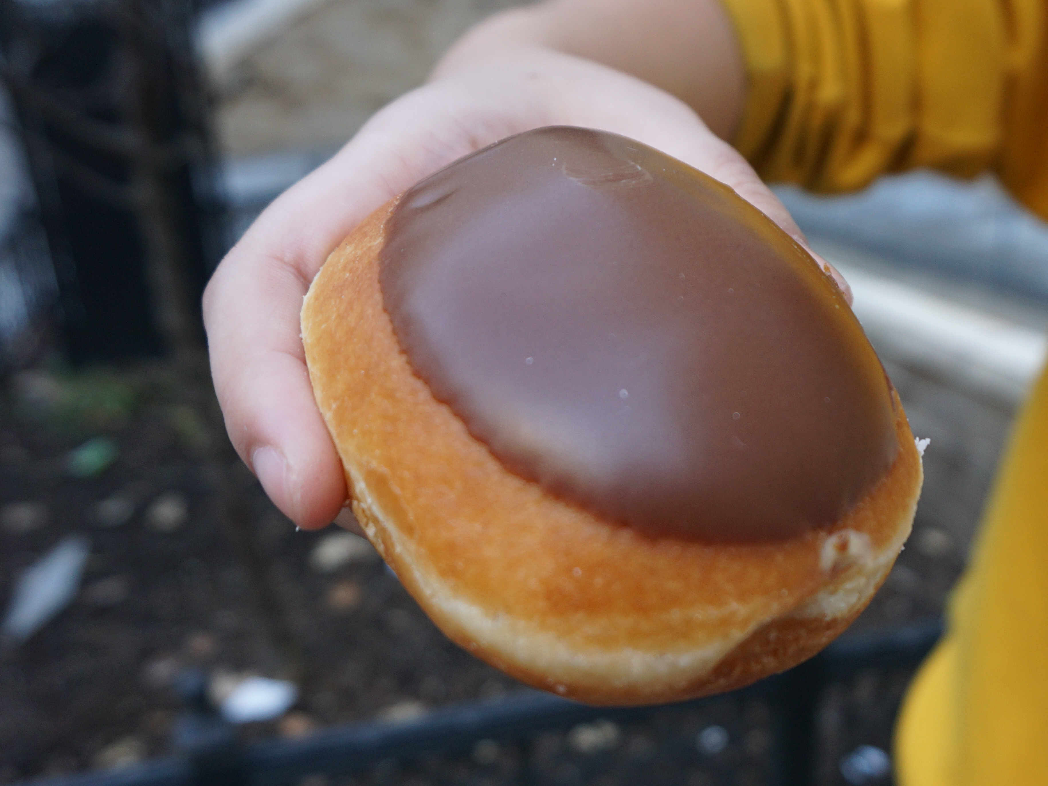 3 Chocolate iced custard filled