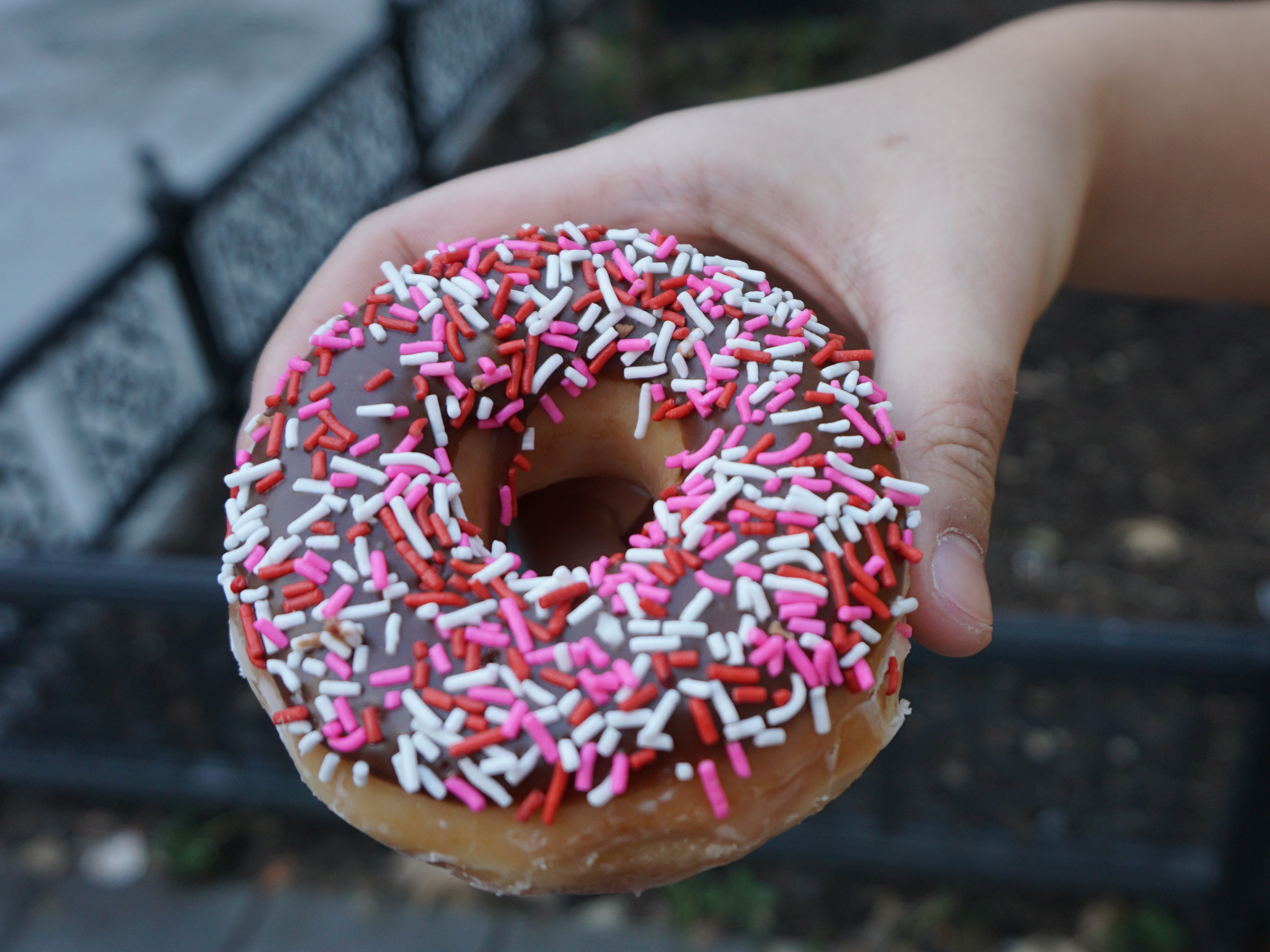 4 Chocolate iced glazed with sprinkles 2