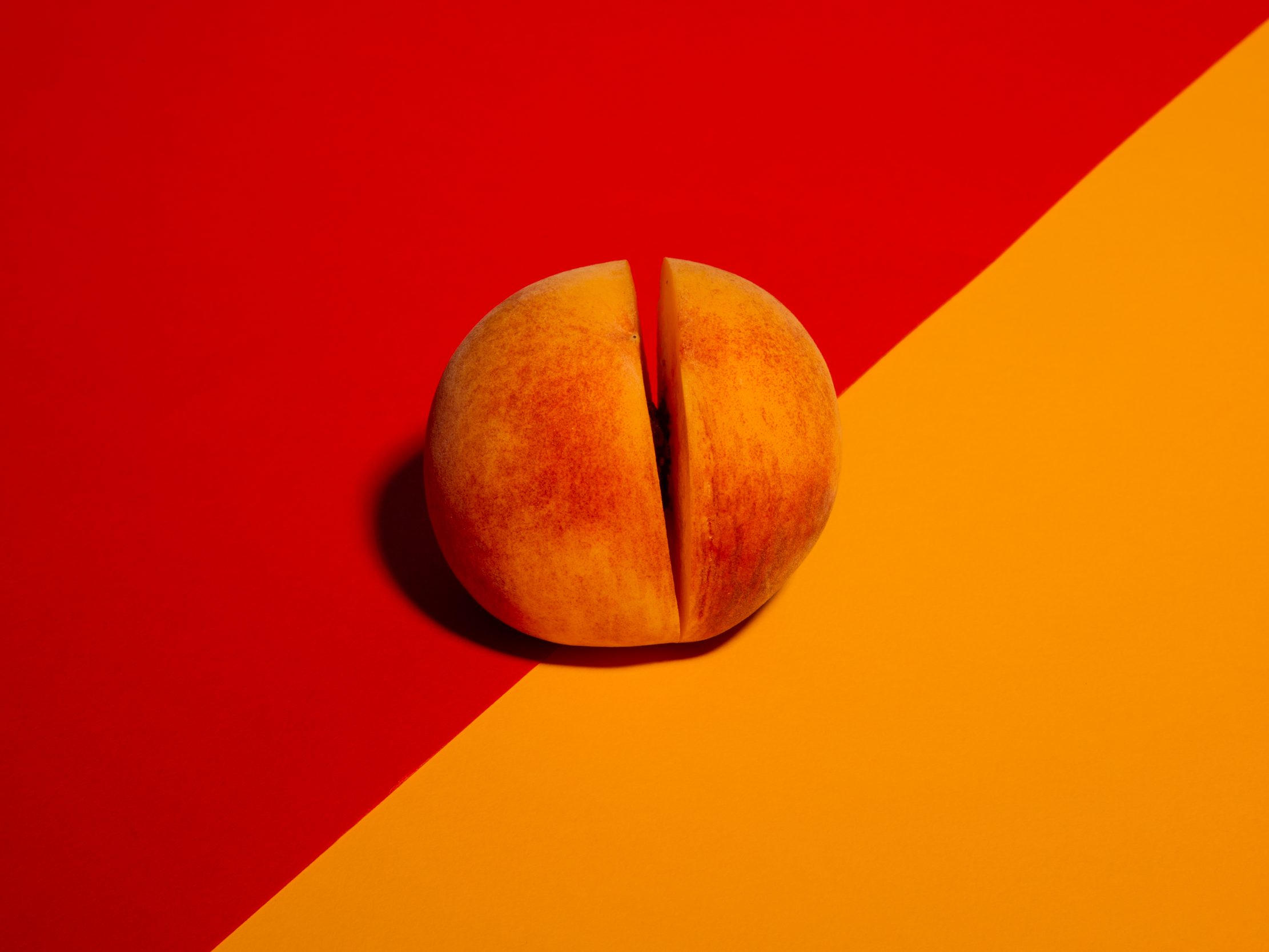 genitals