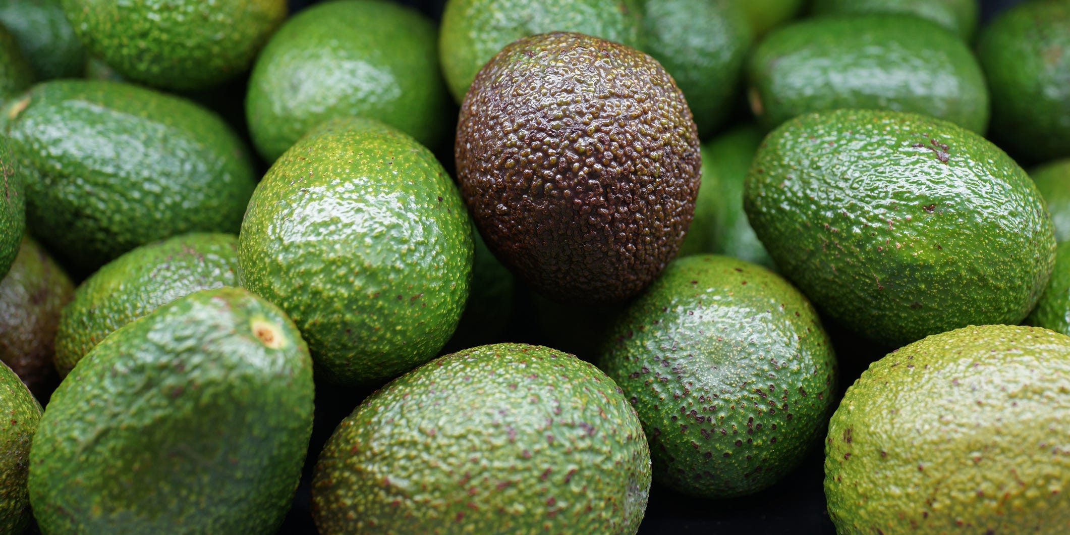 A ripe avocado sitting atop a pile of unripe avocados