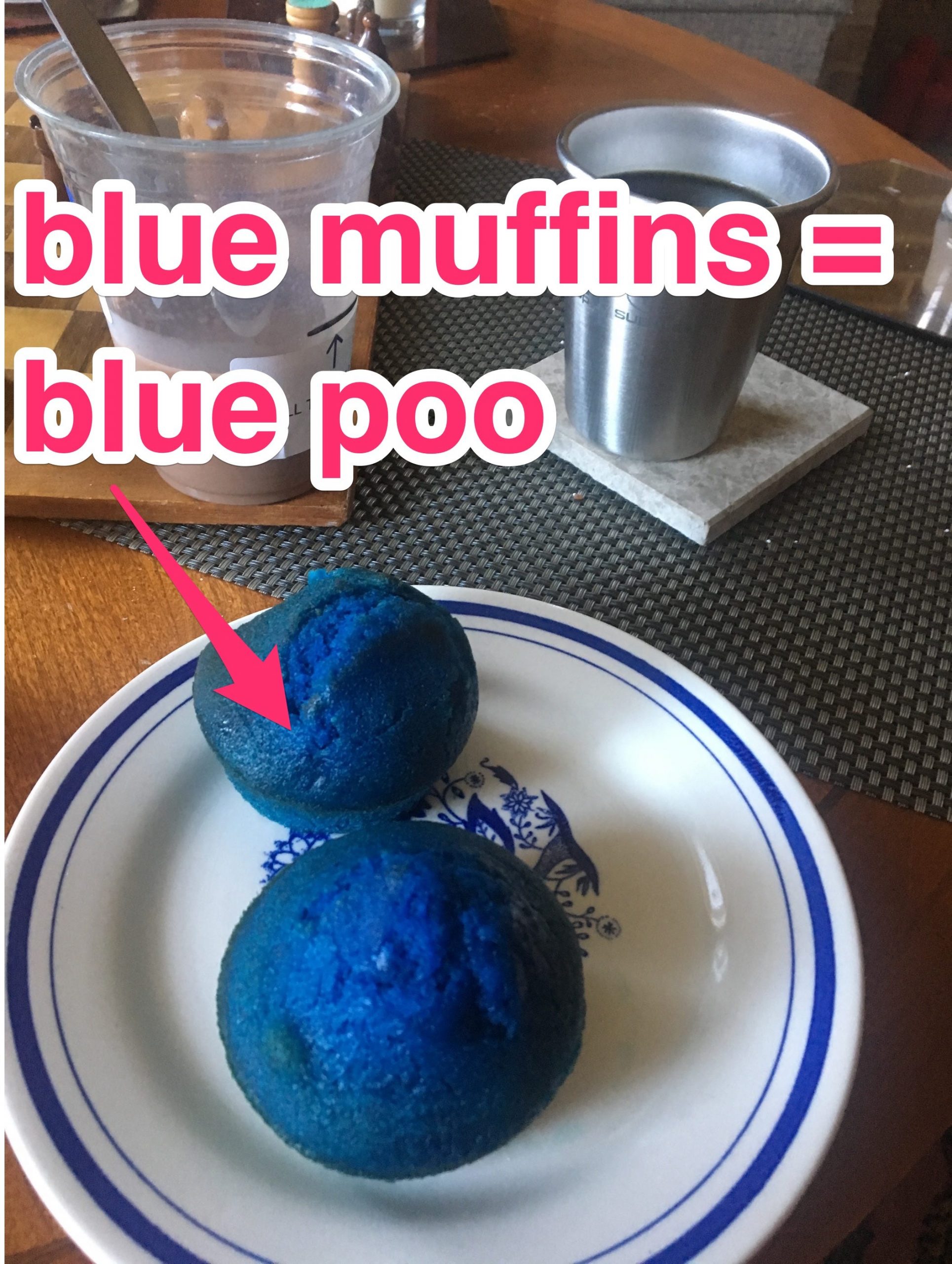 zoe_blue_muffins_ _poop_test