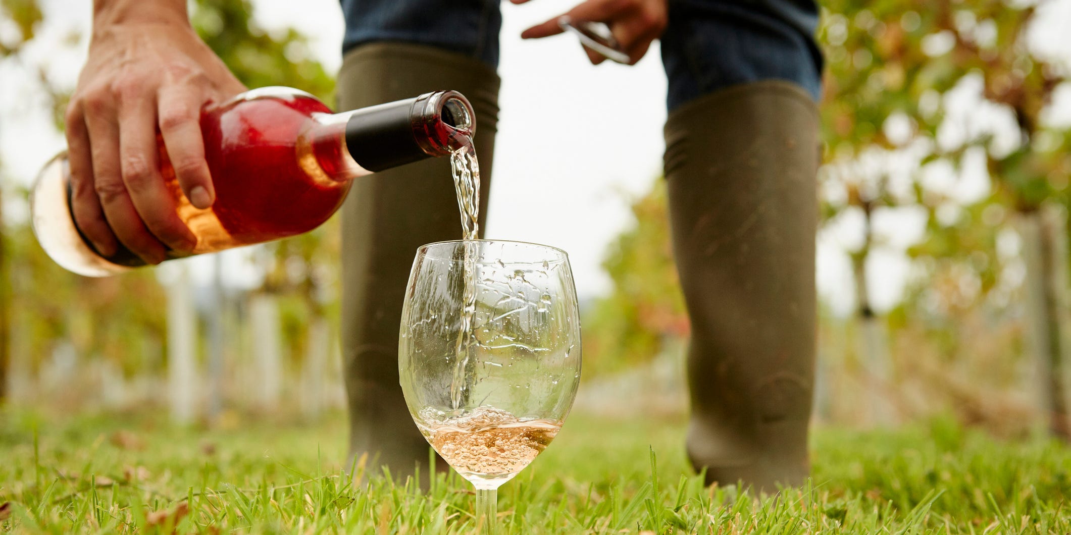 Man pouring rose in a field