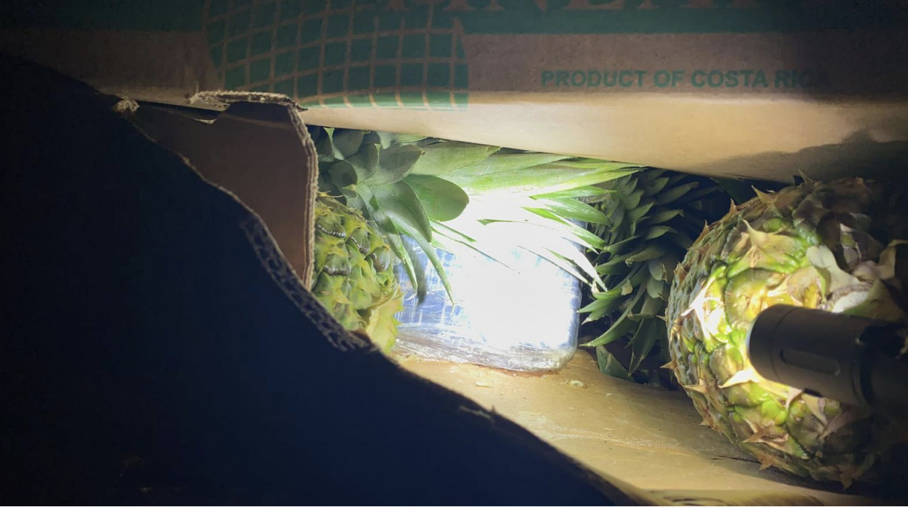 pineapple. Operation Trojan Shield