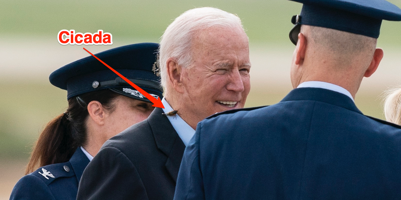 President Joe Biden, with a brood X cicada on his back, walks to board Air Force One upon departure, Wednesday, June 9, 2021, at Andrews Air Force Base, Md.