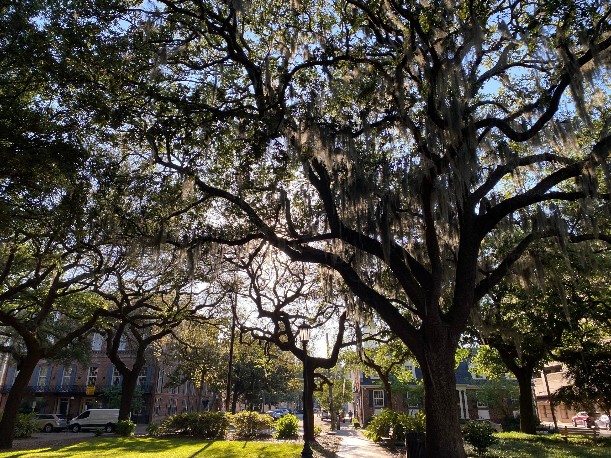 Katie Nave Oglethorpe Square _ Downtown Savannah