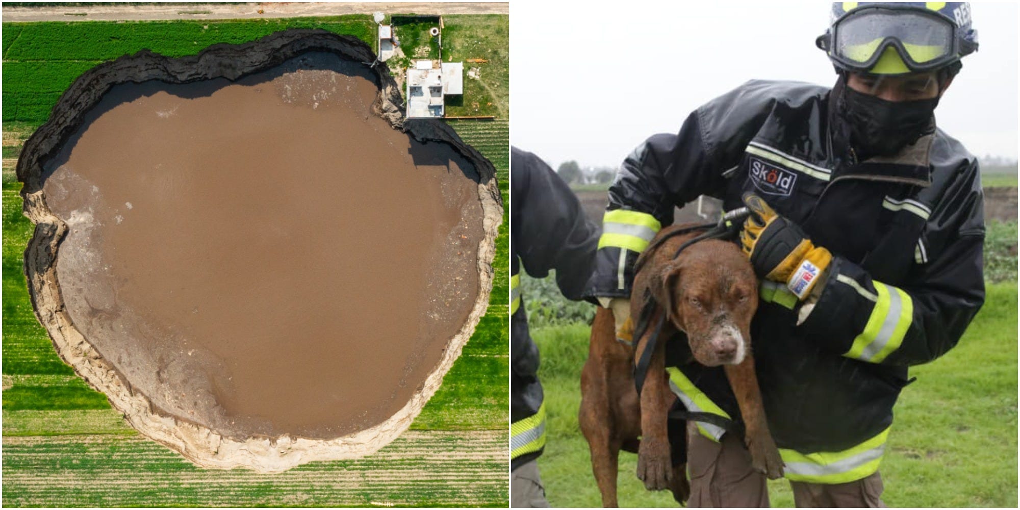 The sinkhole, left, and firefighters rescuing the dog, right.