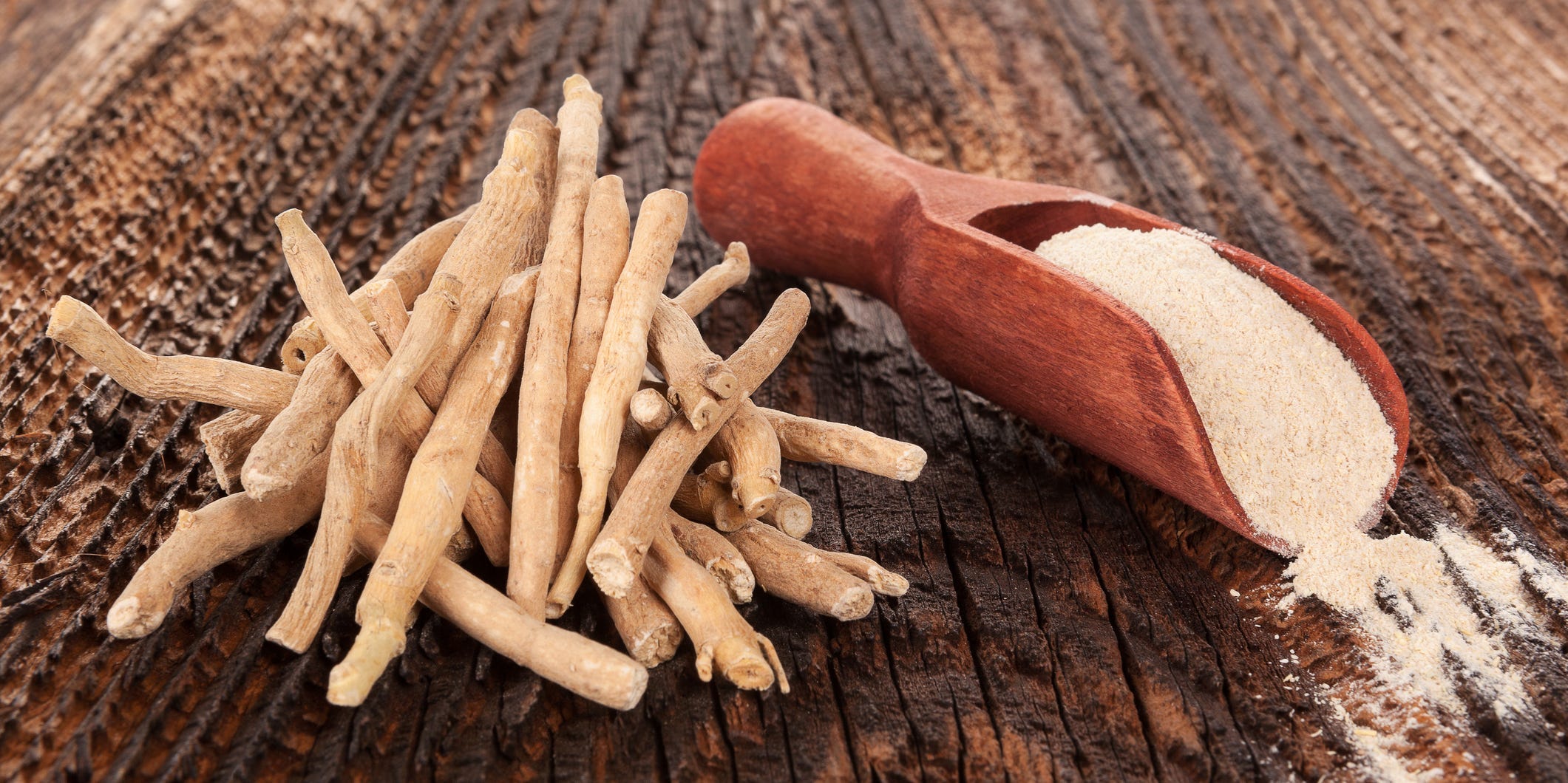 ashwagandha root next to ashwagandha powder