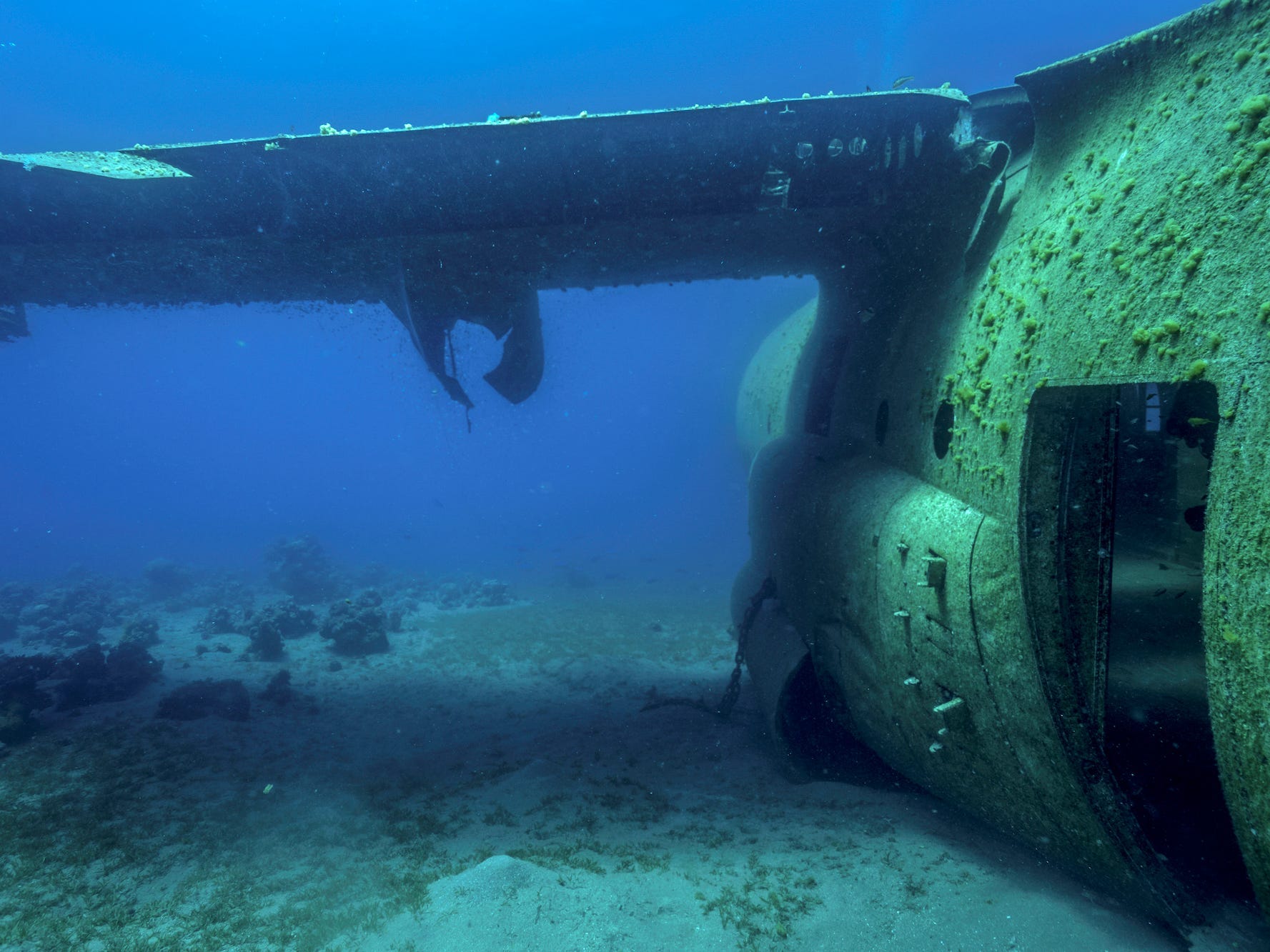 A hatch opens to the fuselage of a wrecked C-130 in the Red Sea in Jordan.