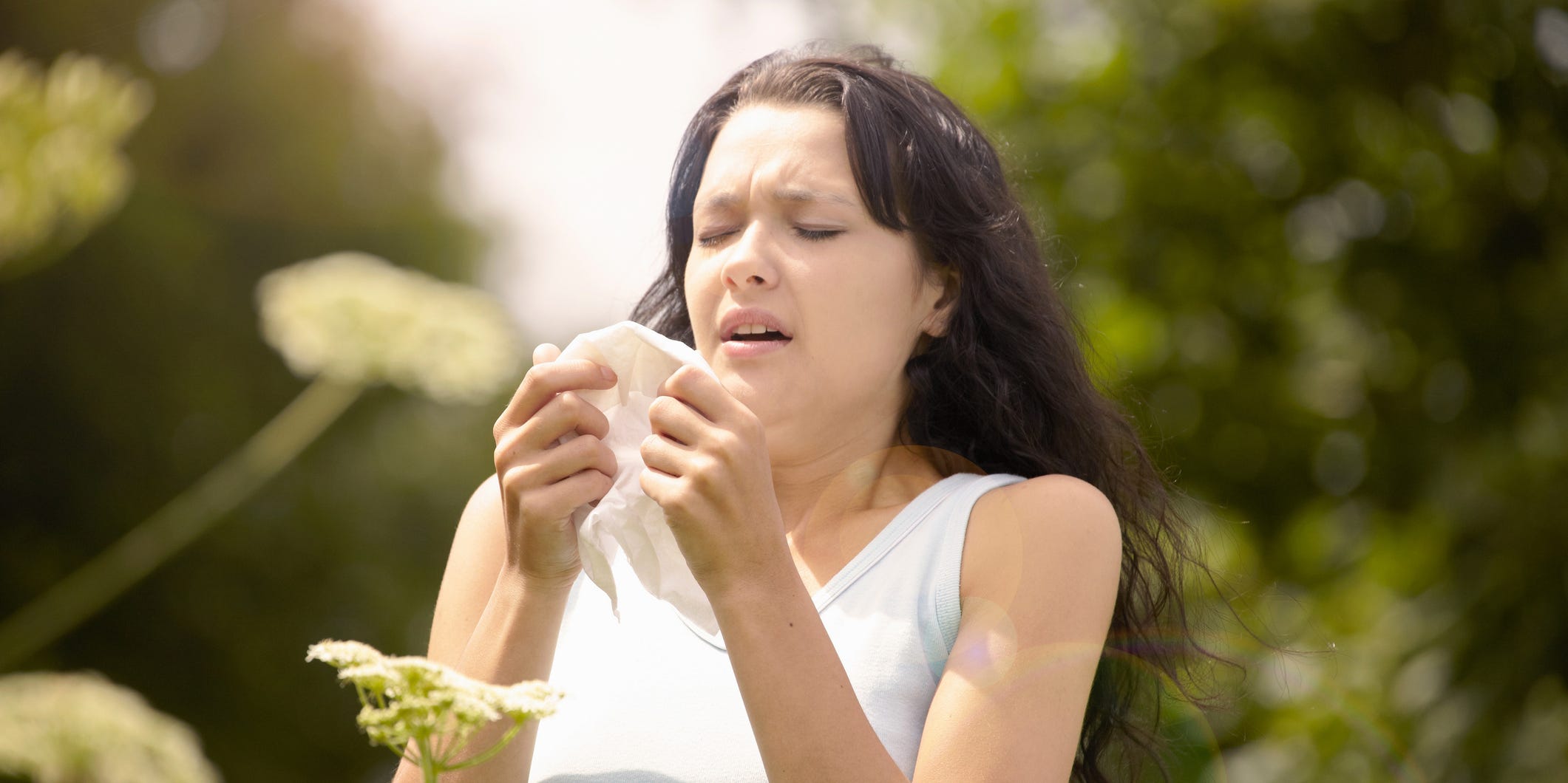 sneezing allergies