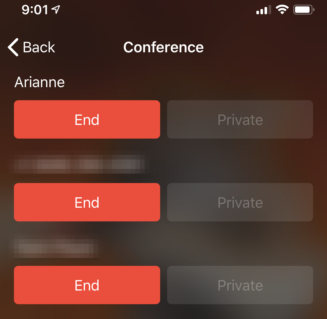 iPhone conference call list of participants with button to end call or start private call