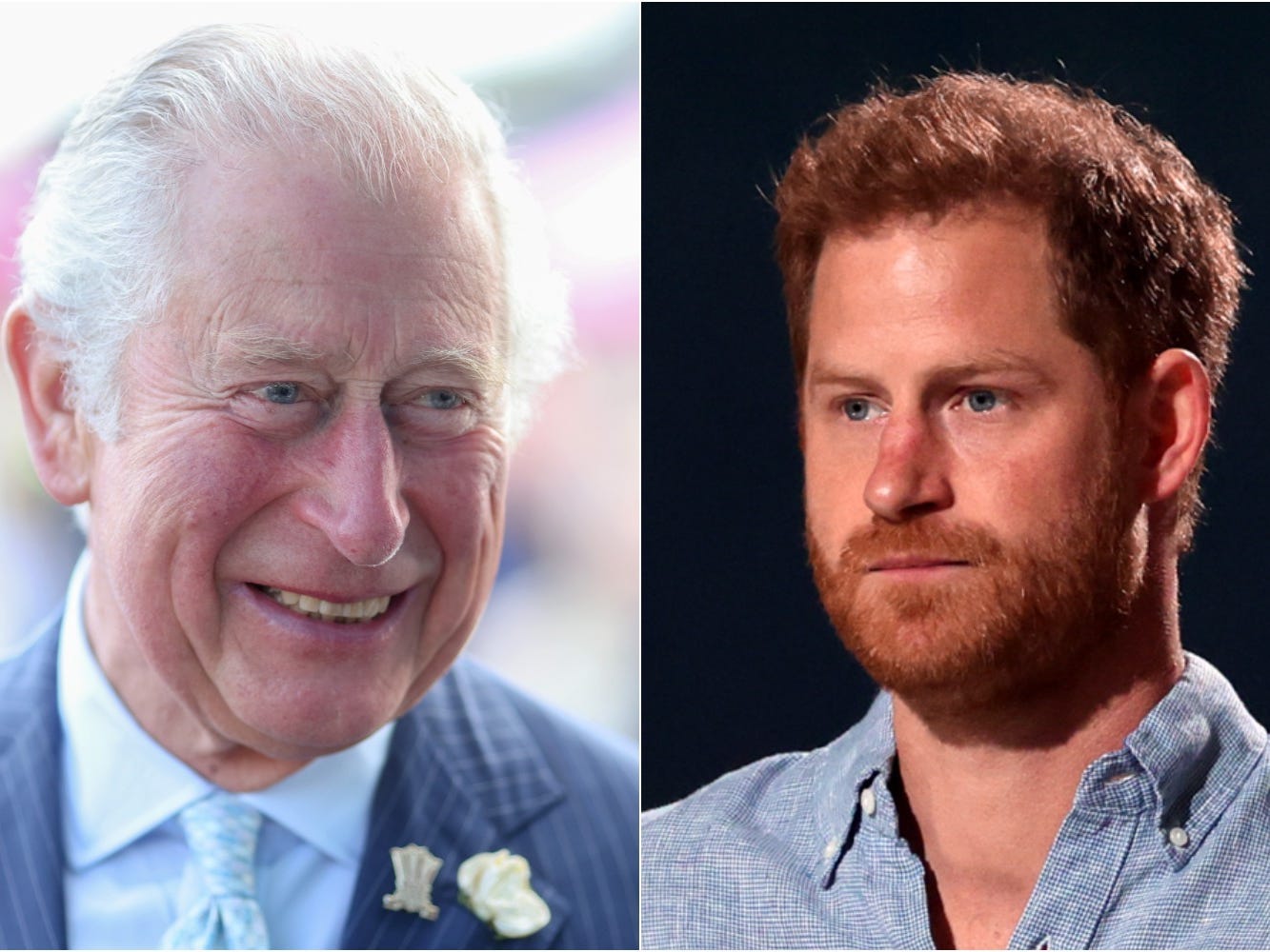 Prince Charles, Prince Harry