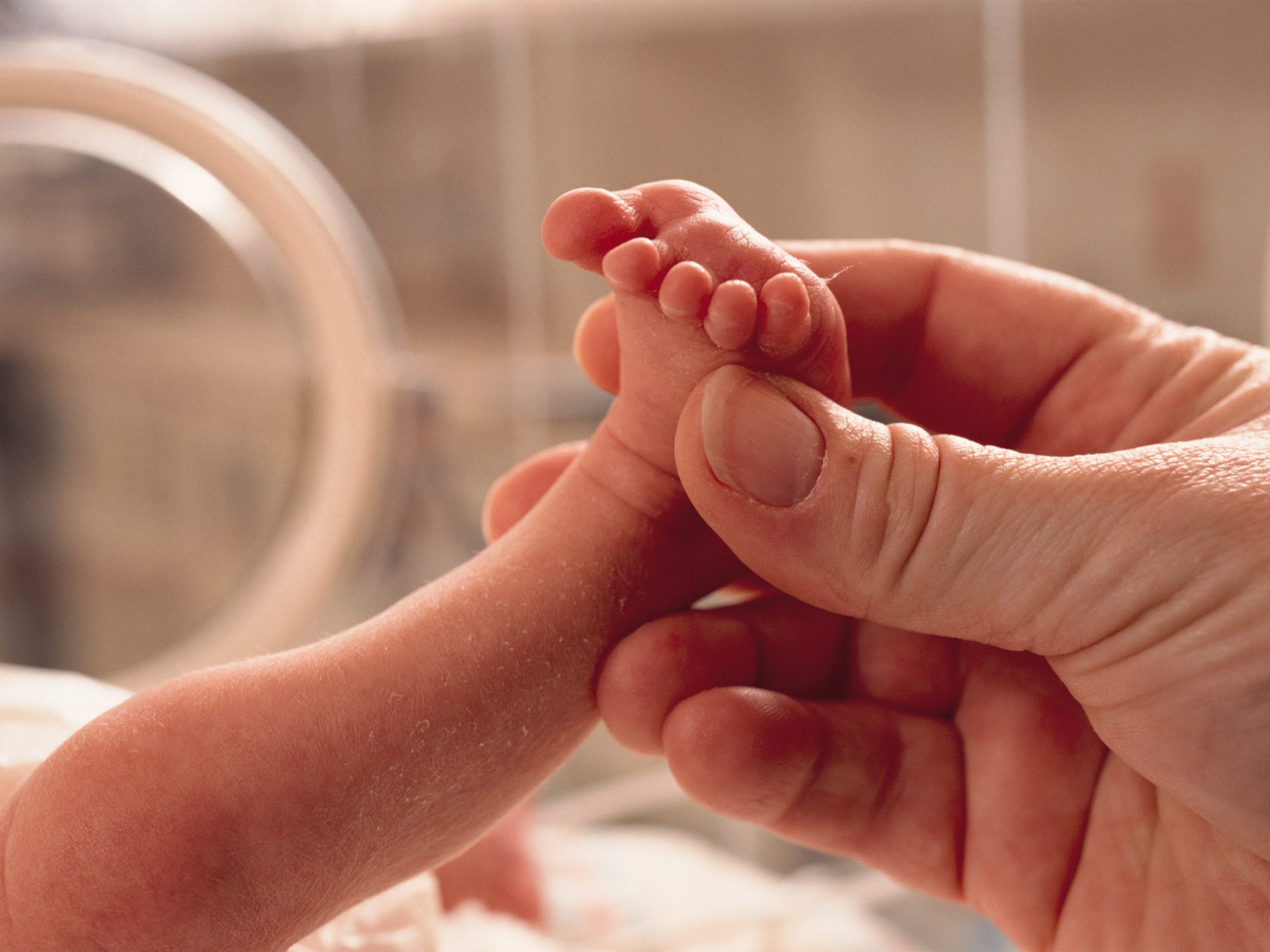 Premature baby in NICU