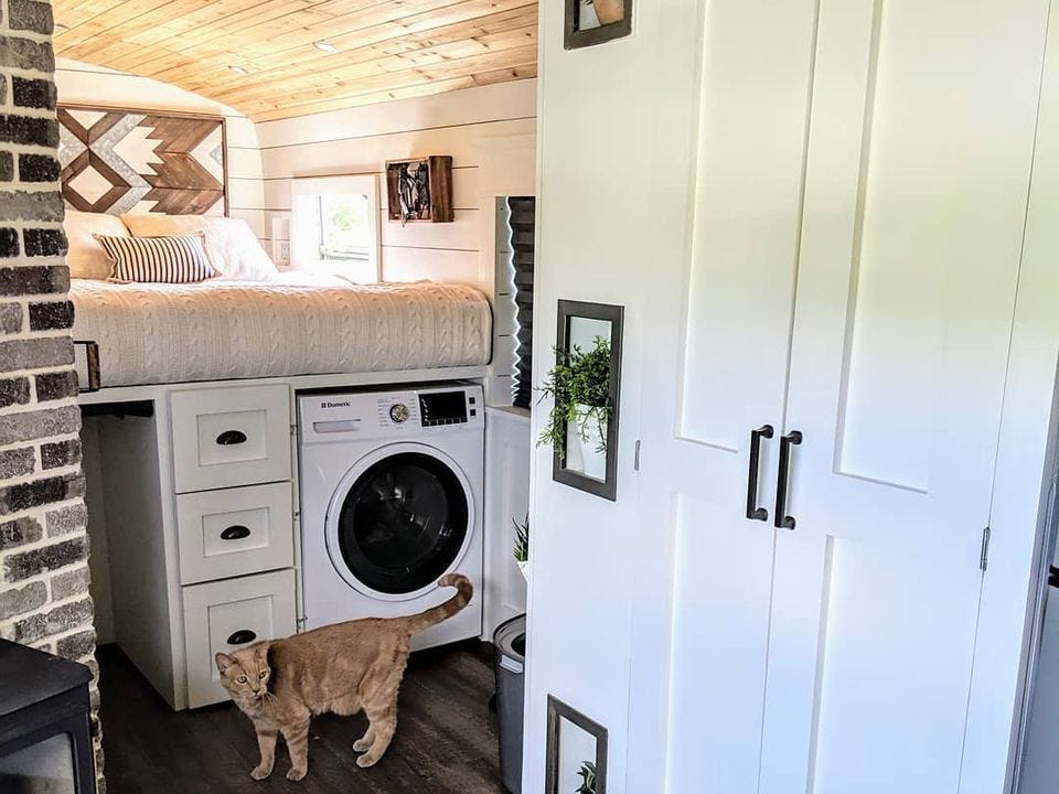 Mr. Beebles in front of the storage, bed, and washer and dryer combo in Robbie and Priscilla's bus conversion.