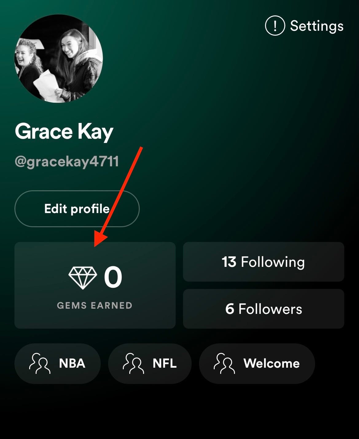 The Gems appear next to a users follower count.