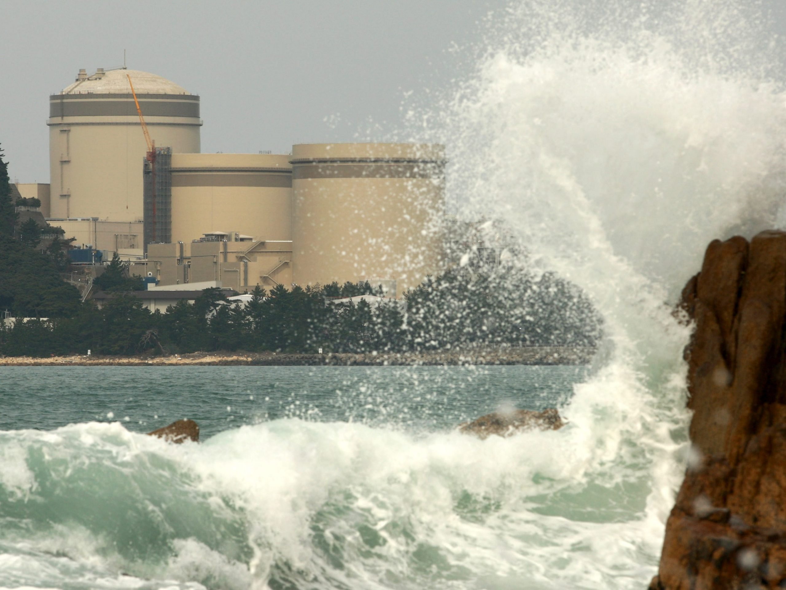 Mihama nuclear power station