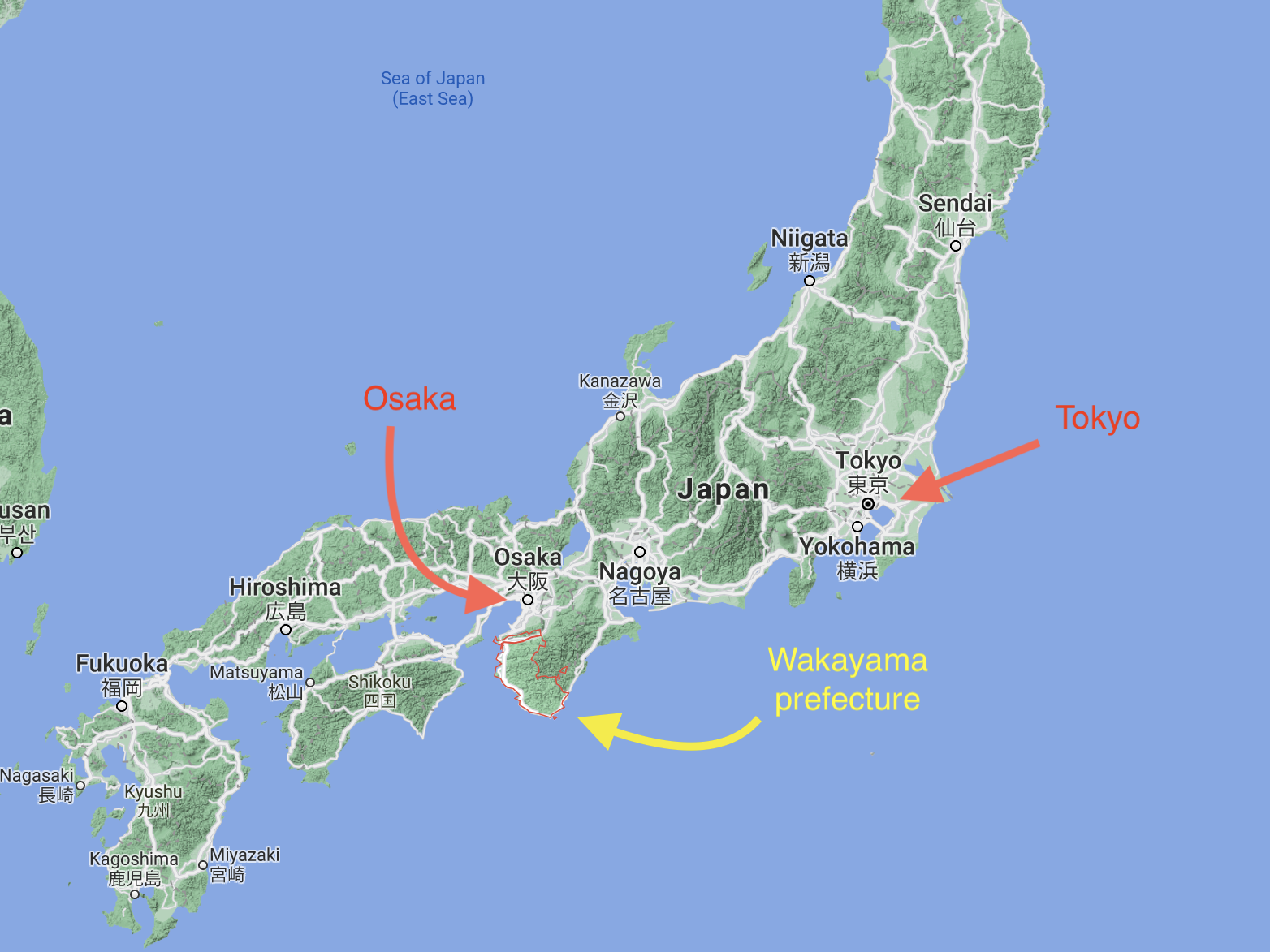 Map of Japan showing that Wakayama prefecture is south of Tokyo and that the closest big city is Osaka