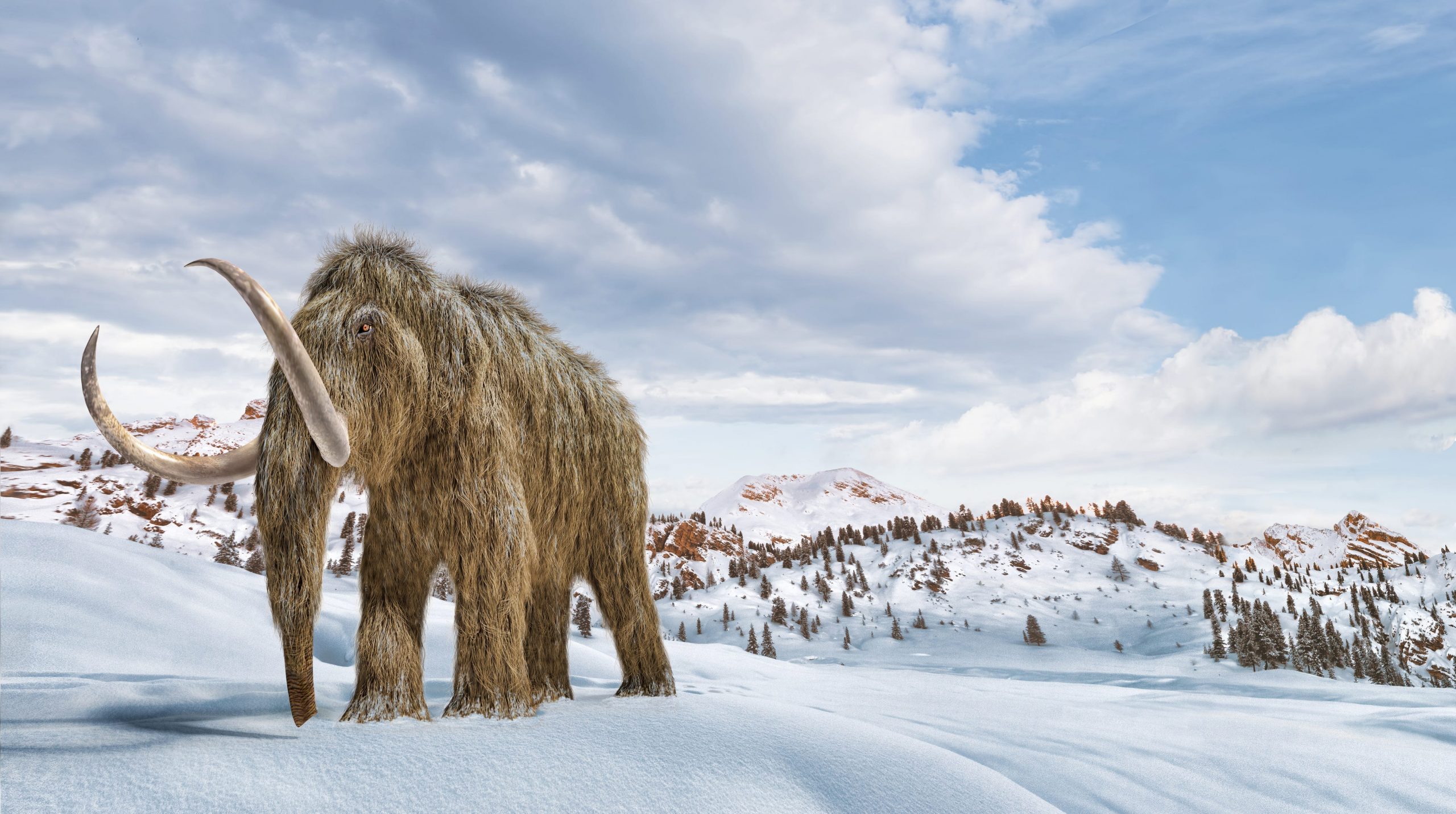 Woolly mammoth in snowy landscape