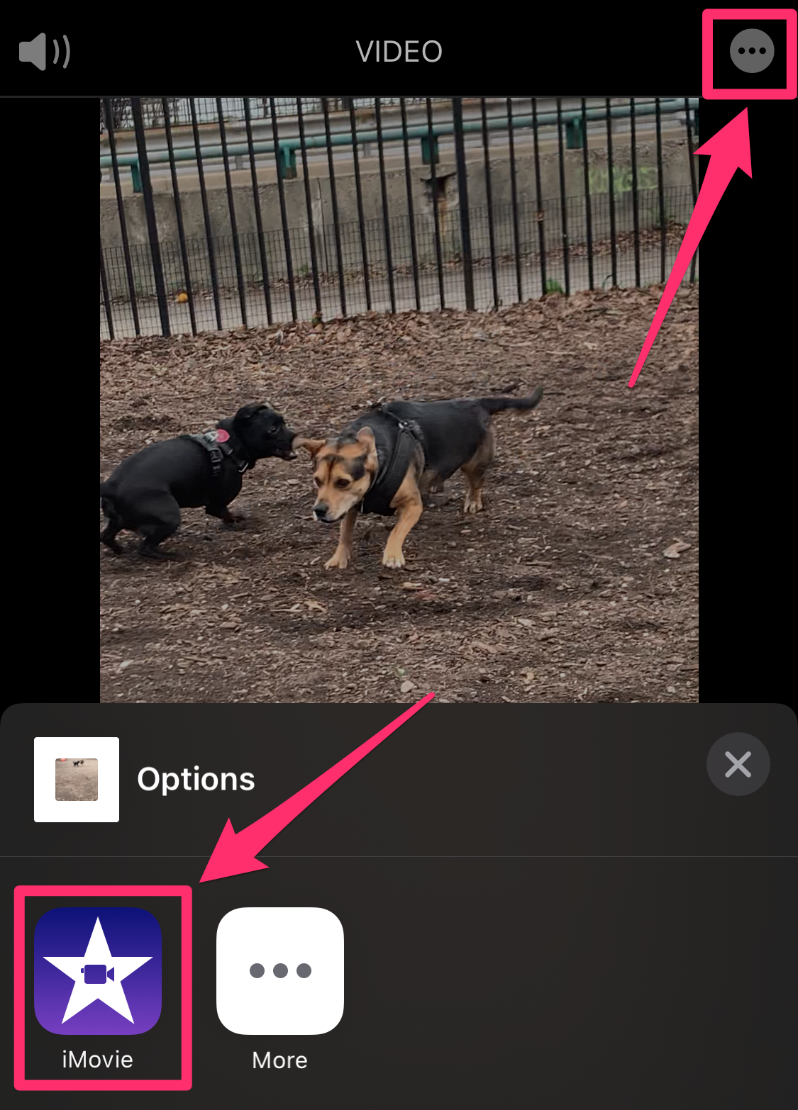 Screenshot of iMovie pop-up menu in Photos app on iPhone