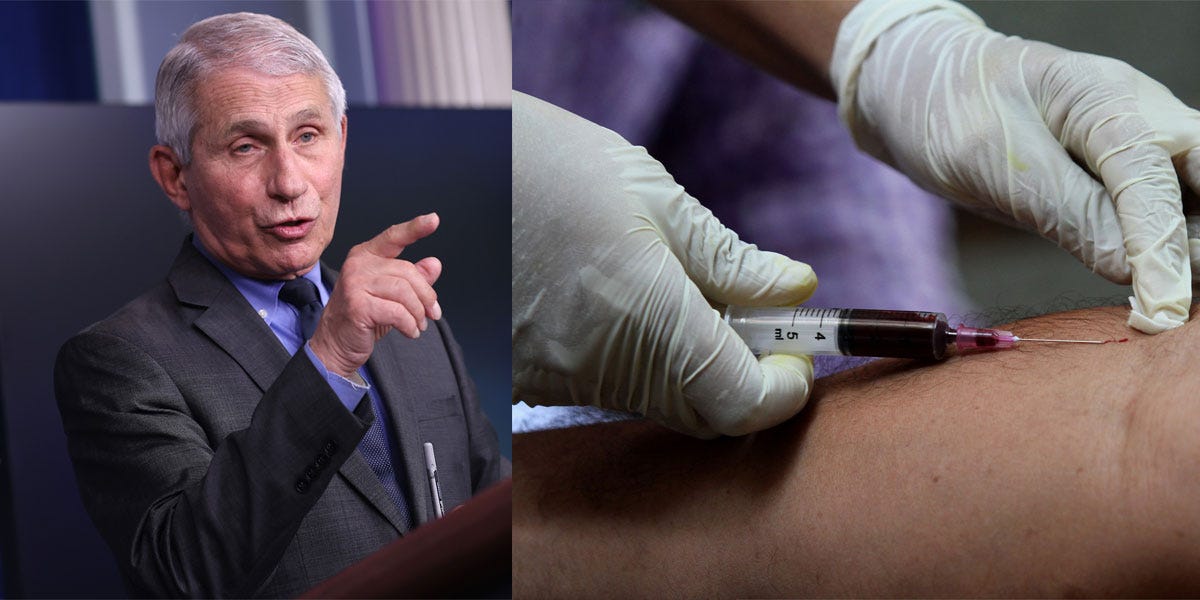 Dr. Anthony Fauci speaking and pointing - side by side with a photo of someone getting blood drawn for an antibody test
