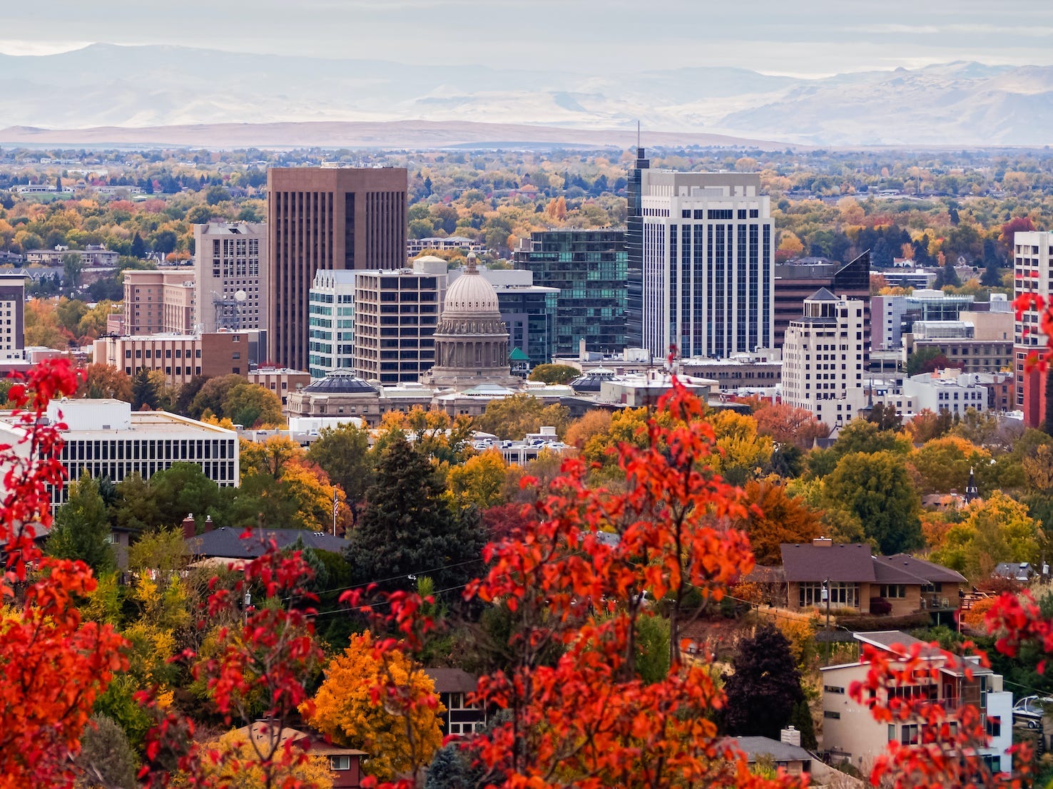 This image shows Boise, Idaho. There are red trees in the foreground and the Boise sykline with different buildings behind that.