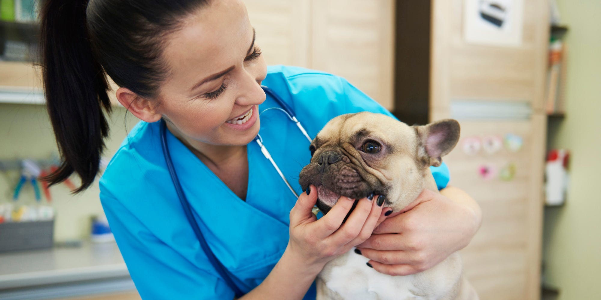 veterinarian