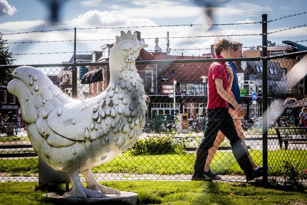 Een decoratieve kip in Barneveld, de gemeente die bekendstaat om de pluimveehouderijen.