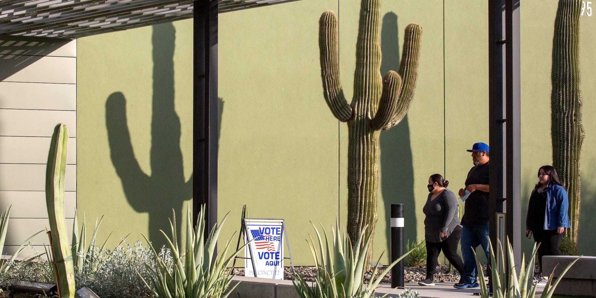 Arizona voting 