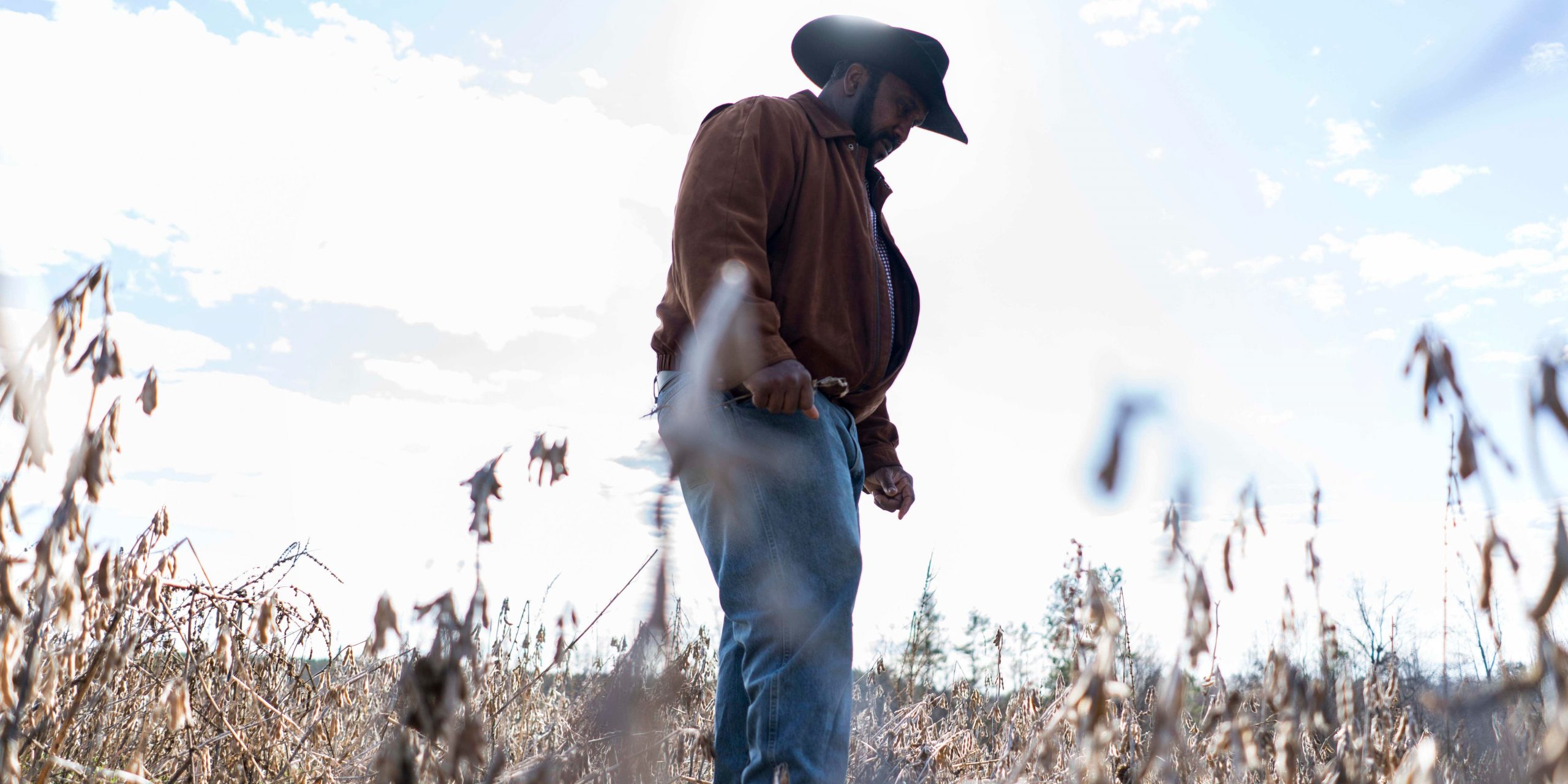 A Black farmer checks the condition of his soy bean field.