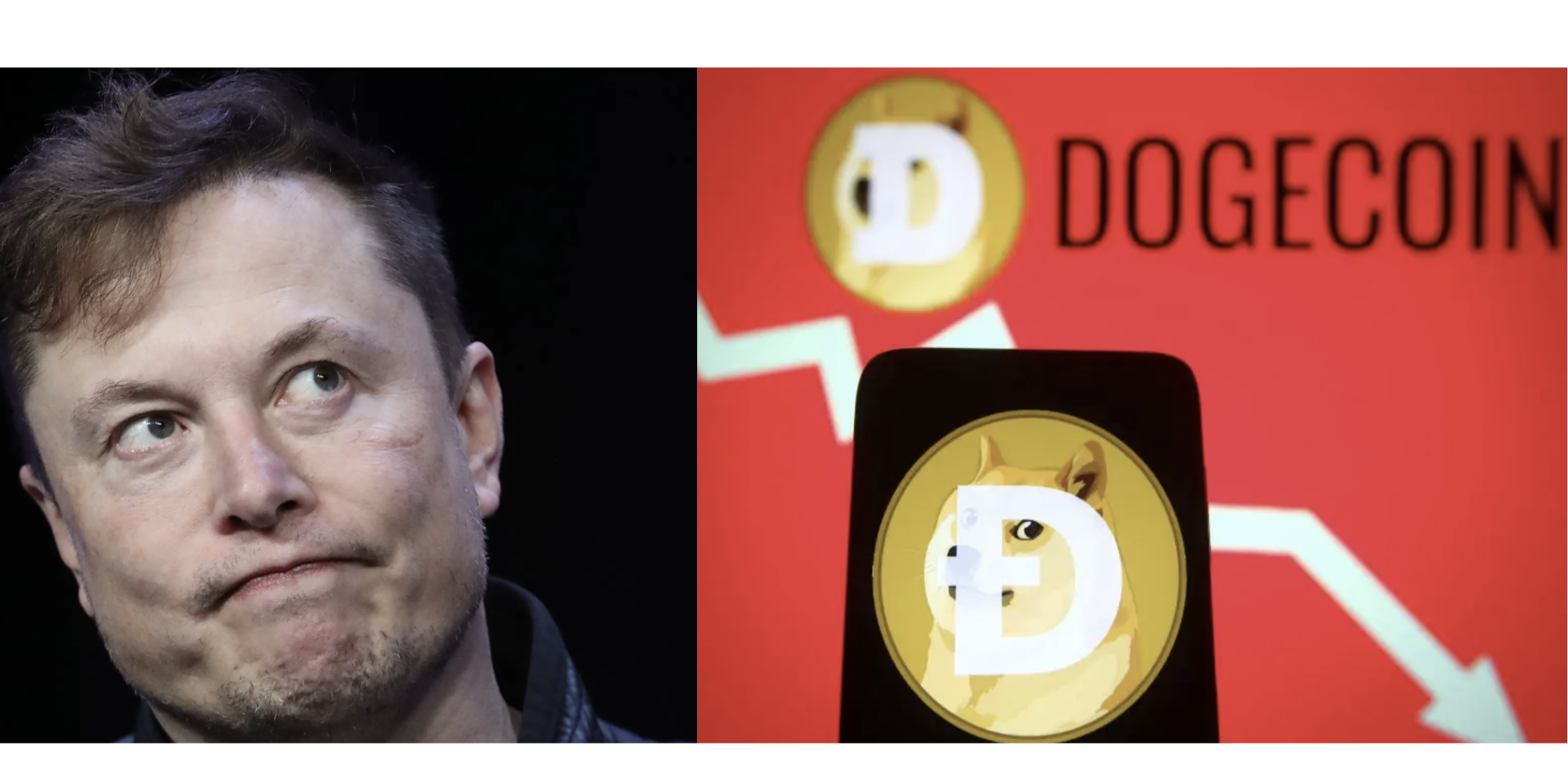 Elon Musk and dogecoin