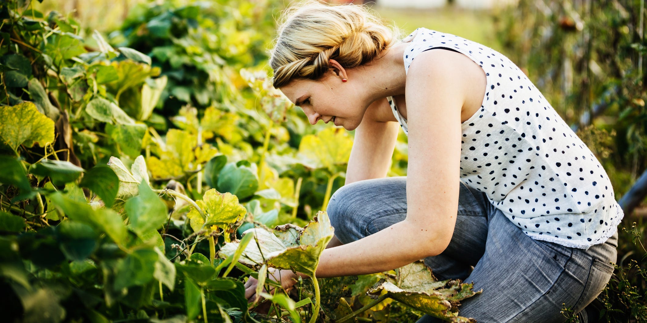 Female bends over some plants in her garden.