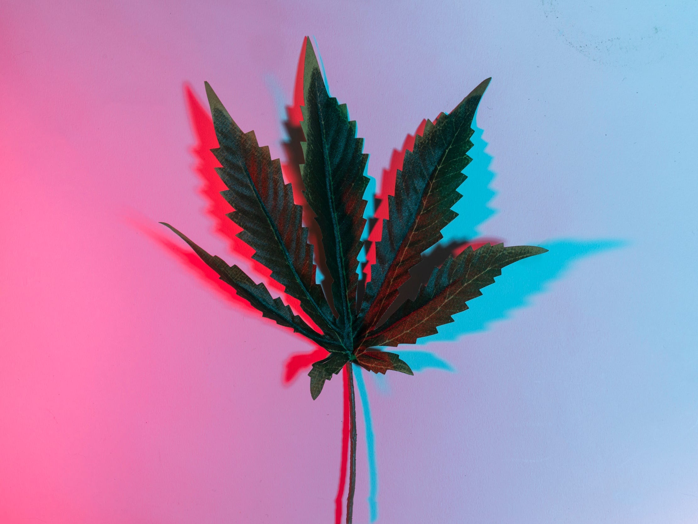 medical marijuana cbd hemp weed smoking joint leafly flowers cannabis cox 96