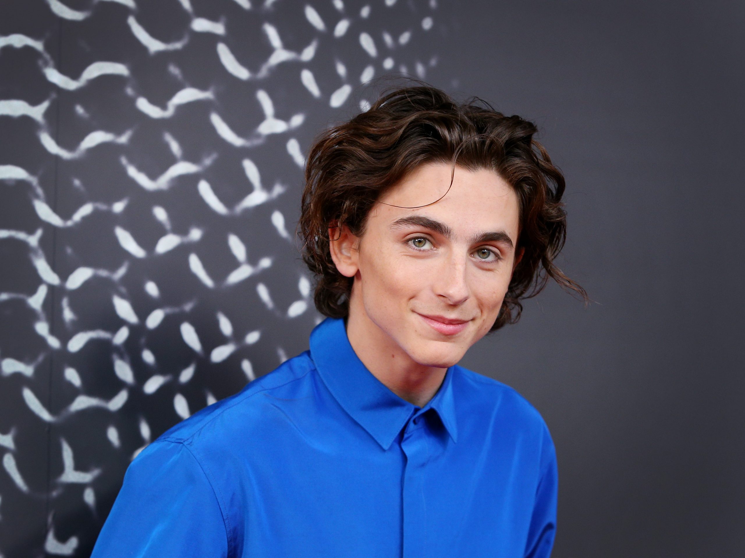 timothee chalamet