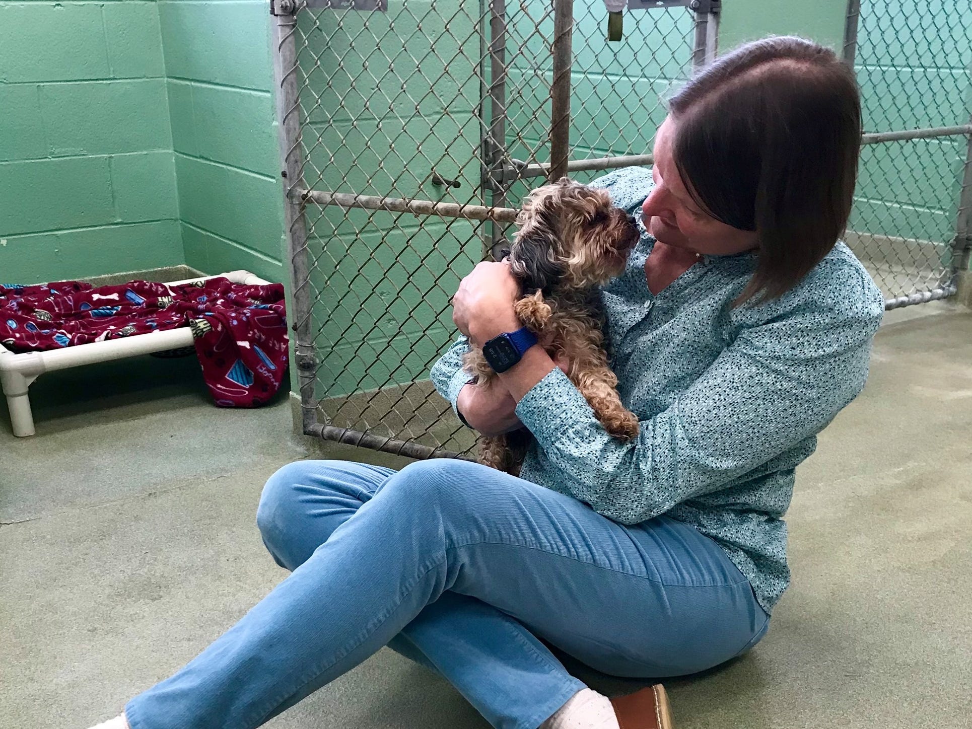 A Yorkshire Terrier mix named Sgt. Pepper was reunited with its owner after being reported stolen for seven years.