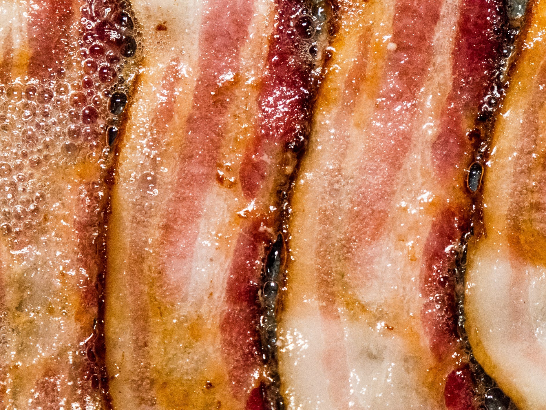 A closeup of four strips of bacon cooking in their own grease
