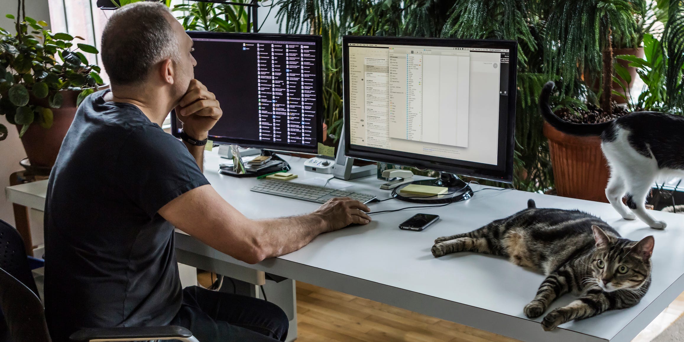 A man using two computer monitors while surrounded by plants and cats.