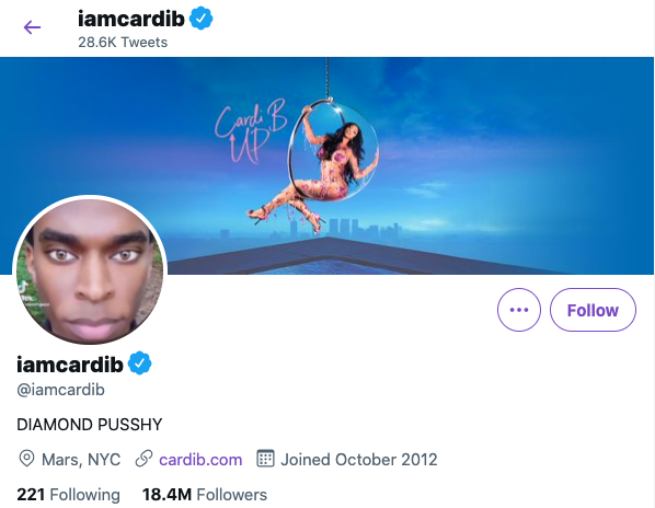 cardi b's Twitter profile: header image shows Cardi B on a circular swing and the text "Cari B UP," profile photo is an image of william knight facing the camera. the profile description reads "DIAMOND PUSSHY"