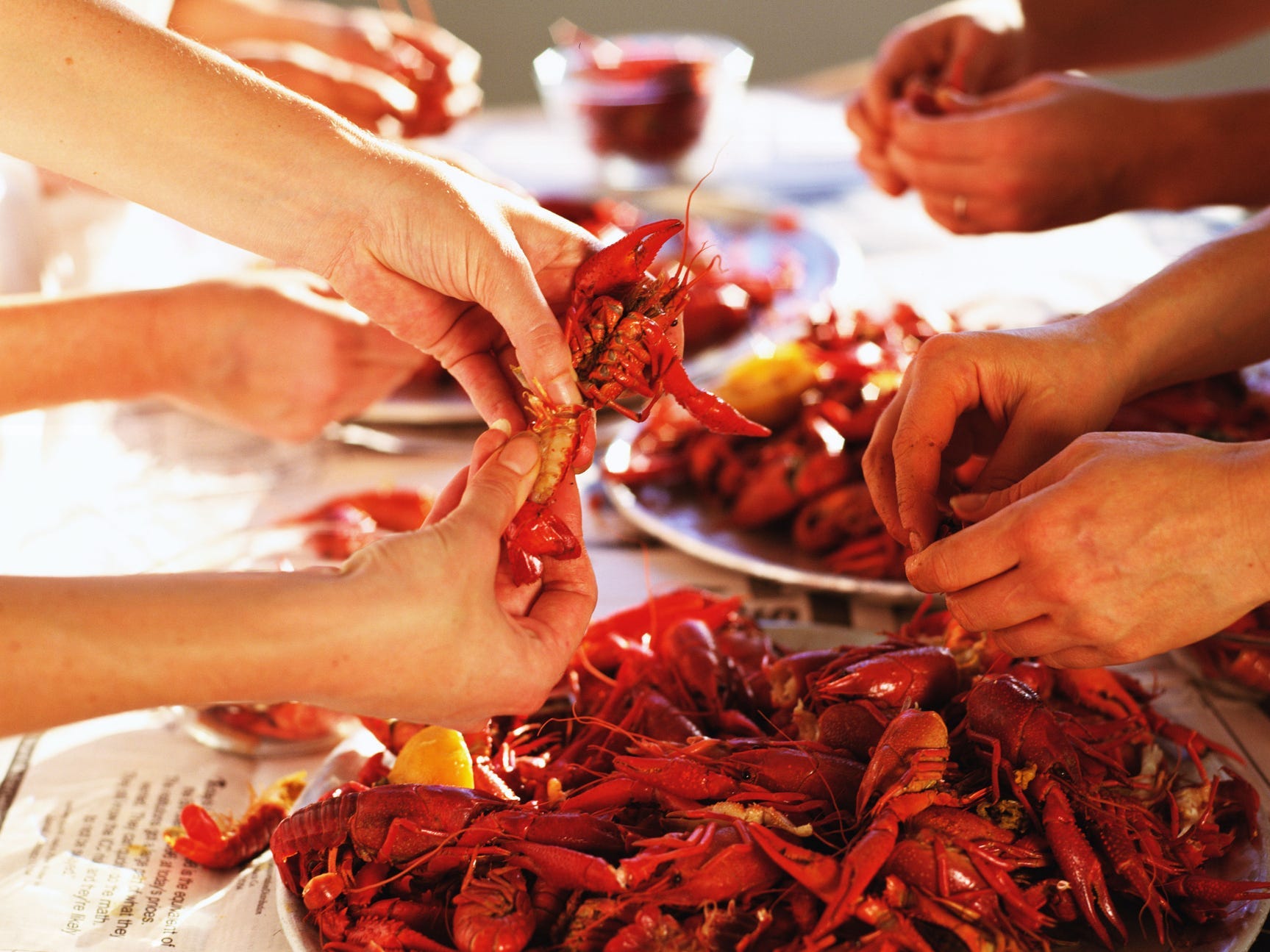 Several pairs of hands twisting the tails off of crawfish at a crawfish boil while large plates of crawfish sit on the table amidst them