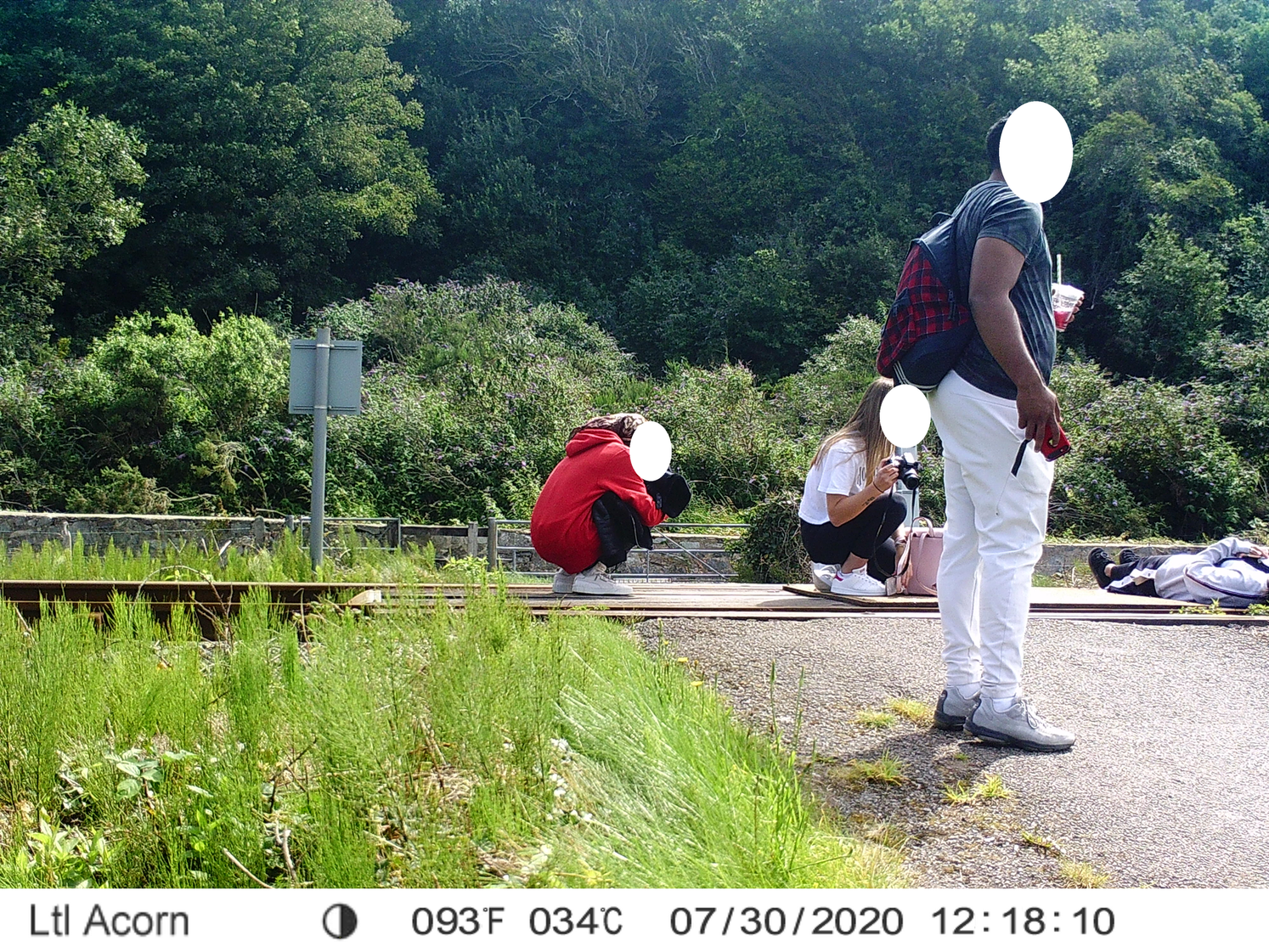 A group of people lying down and crouching by a train track to take photos.