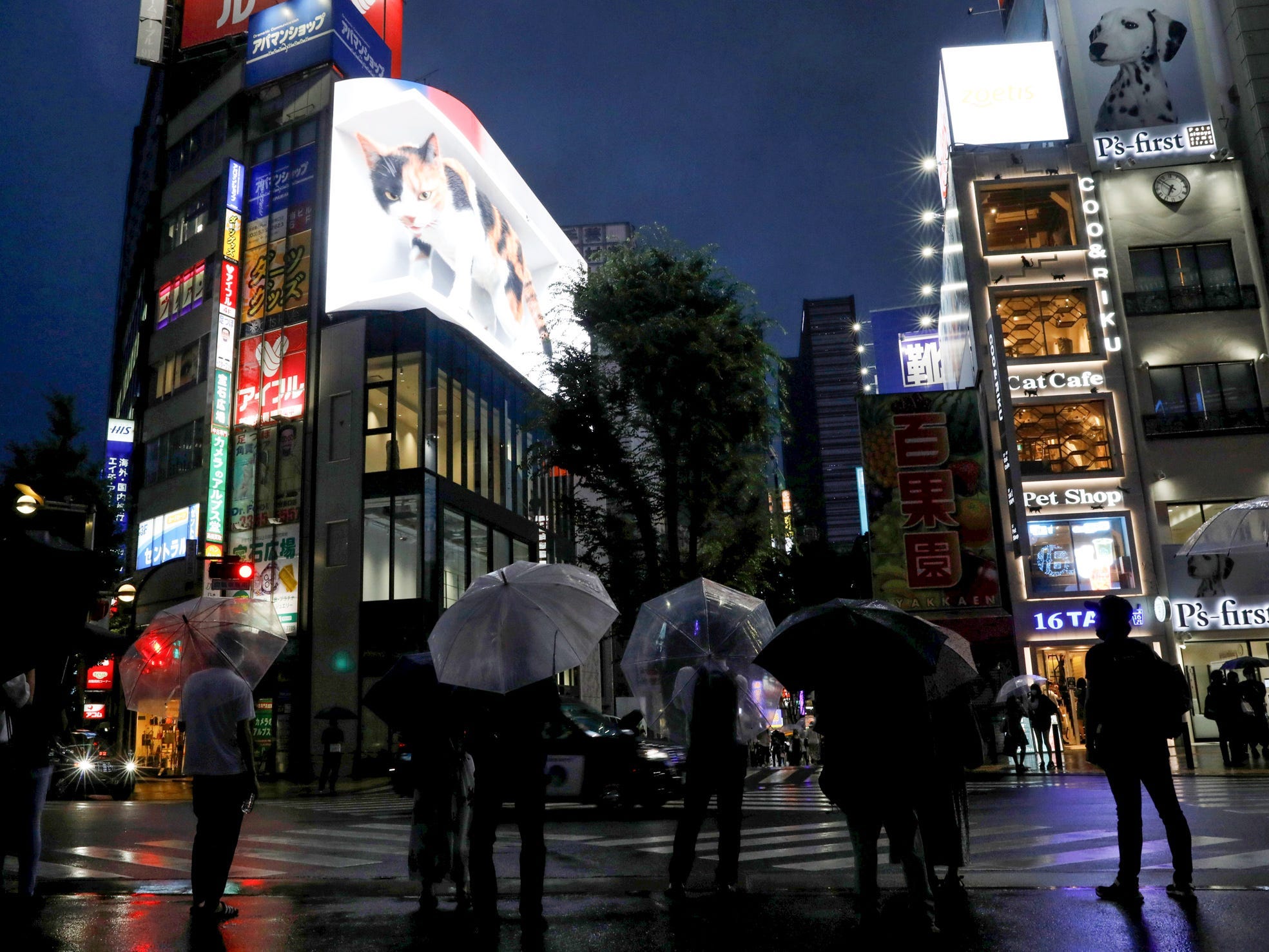 cat on tokyo billboard