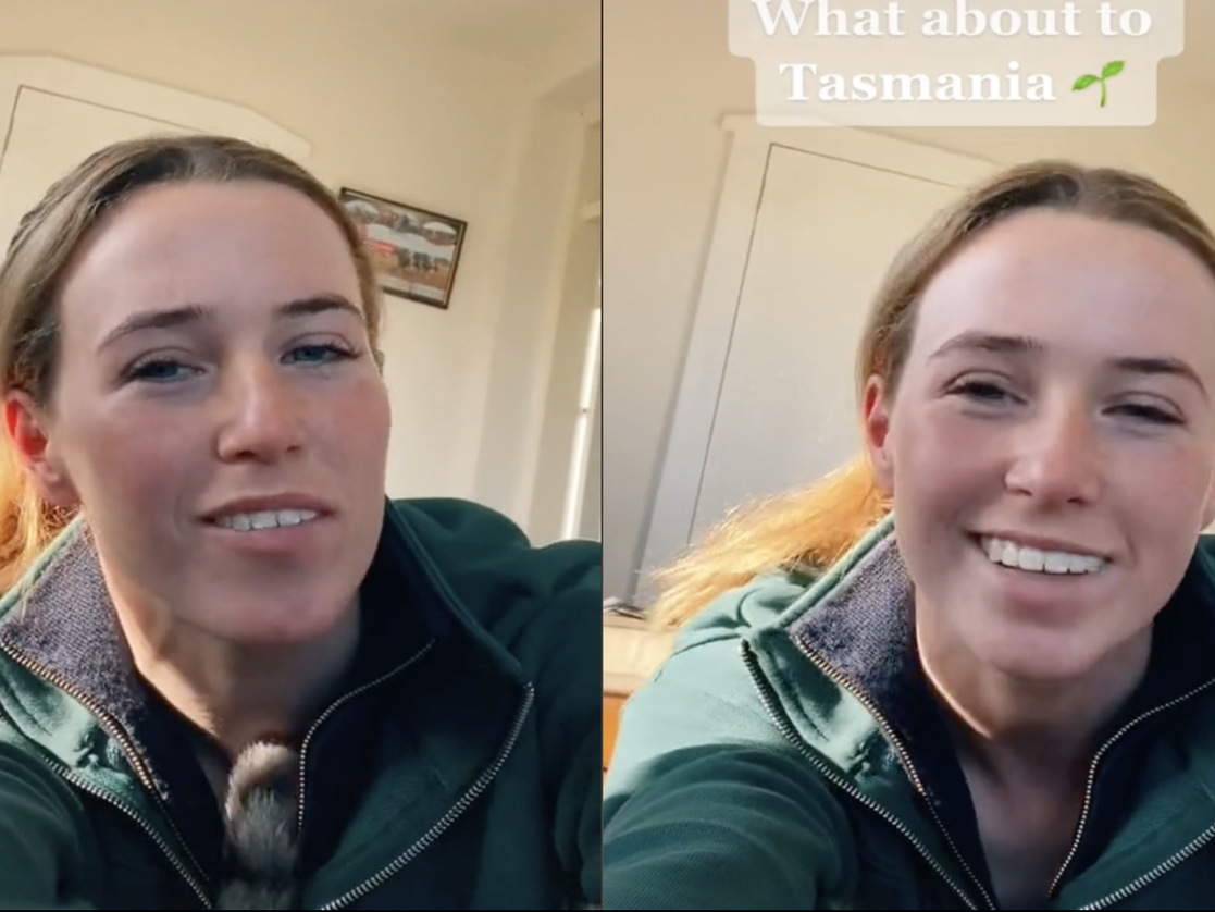 This is a side-by-side photo of Caitlyn Loane's TikTok.