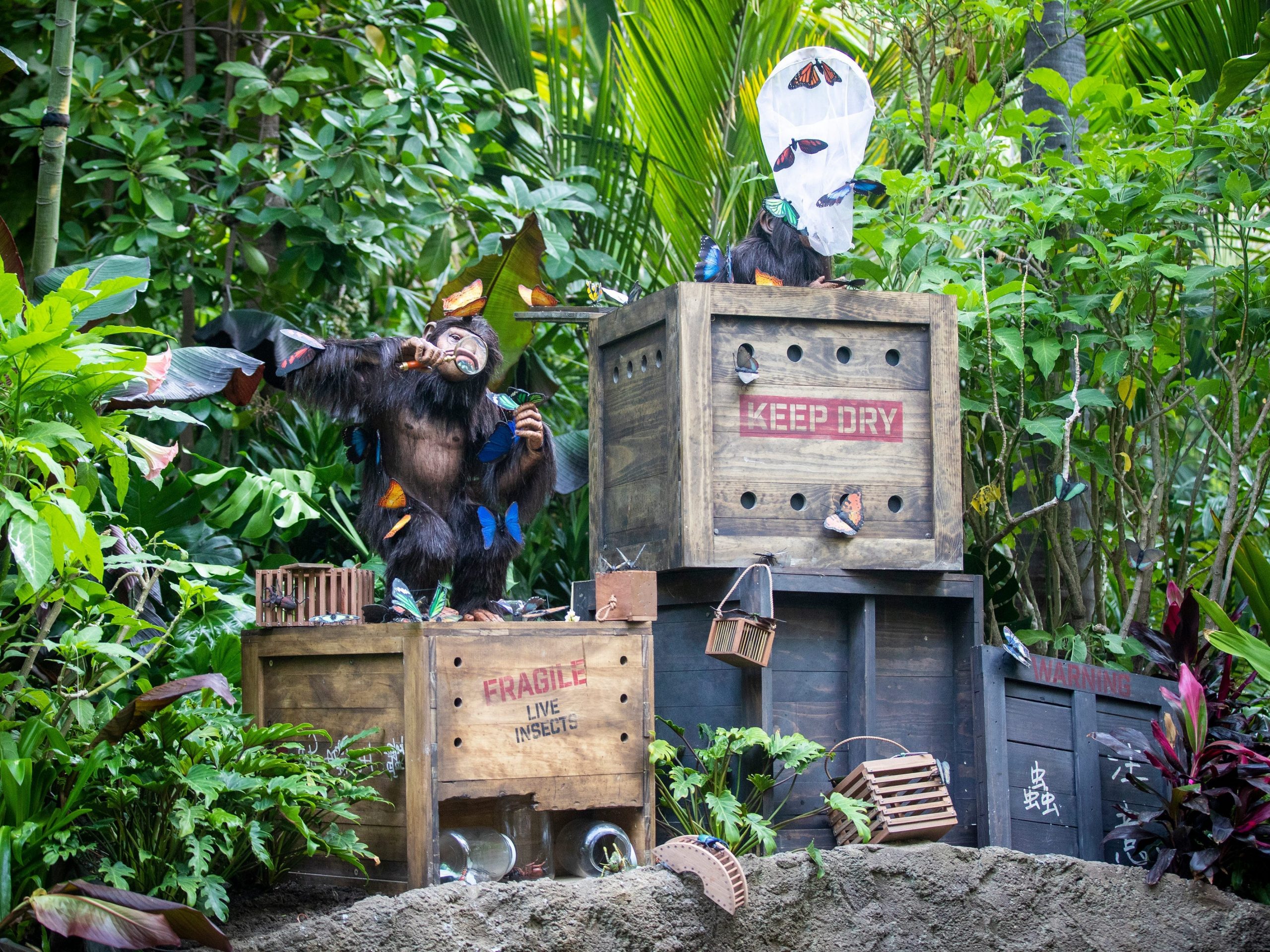 A photo shows the revamped Jungle Cruise ride at Disneyland.