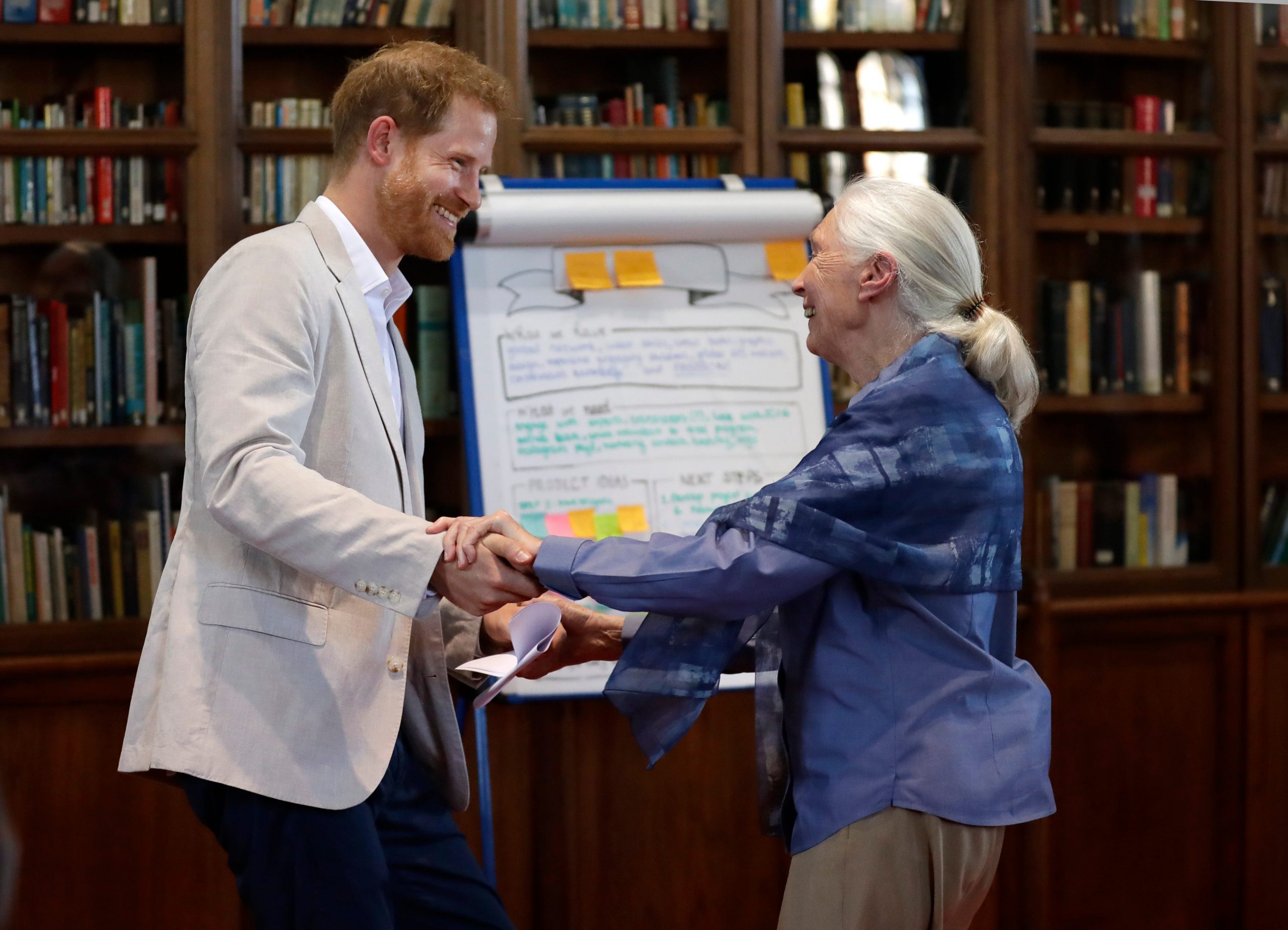 Prince Harry and Jane Goodall in 2019.