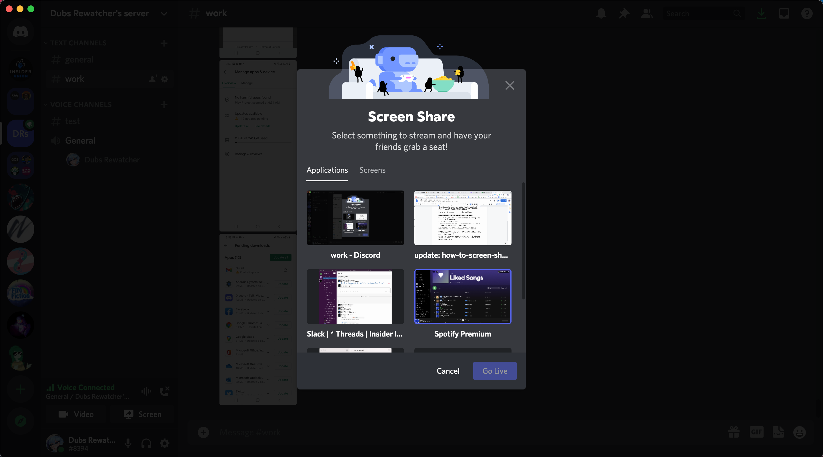 A Discord screen that lets you pick what to livestream.