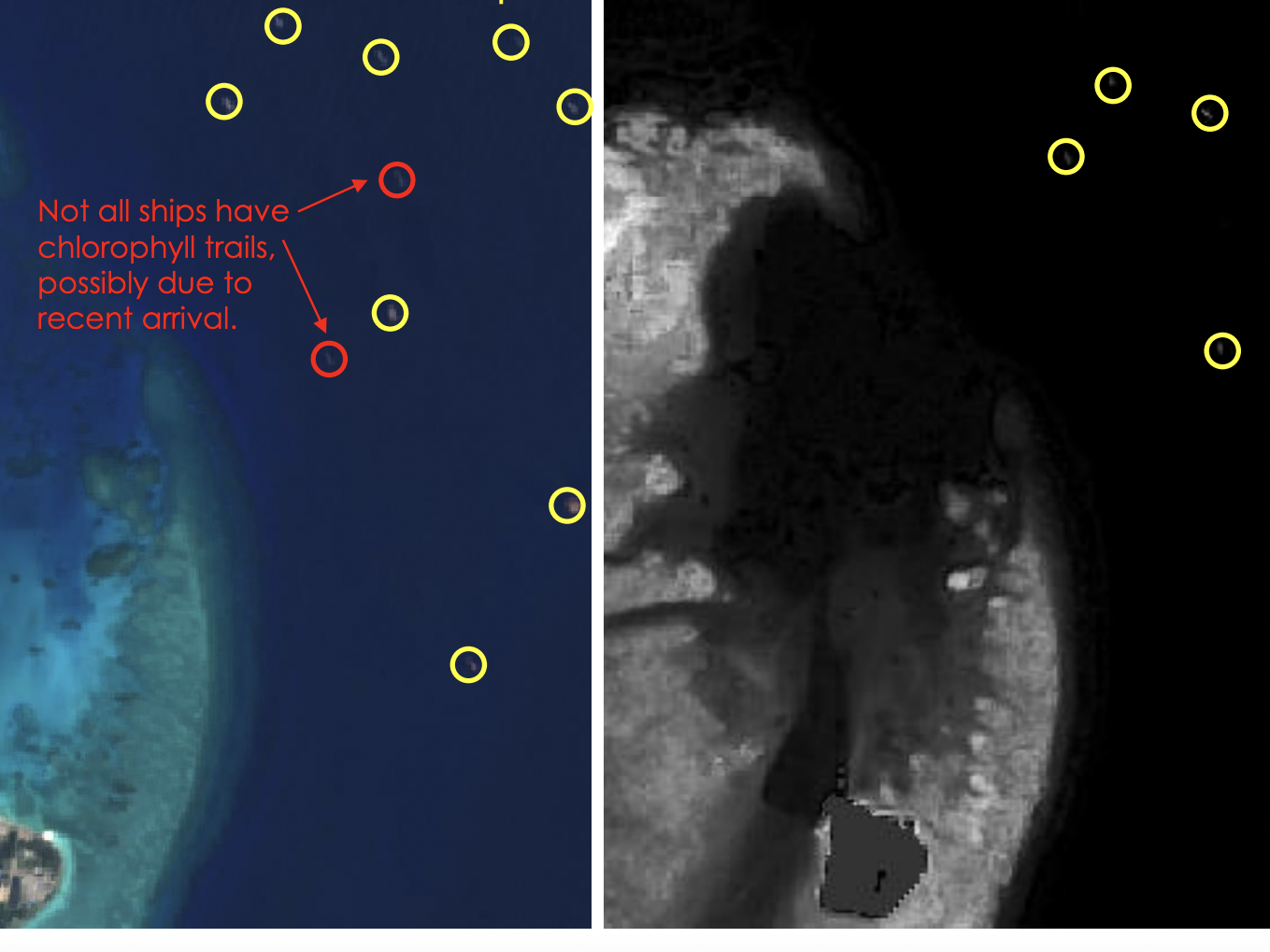 Het satellietbeeld vergelijkt de locaties van schepen (links) en hun overeenkomstige algengroei (rechts). Foto: Simularity
