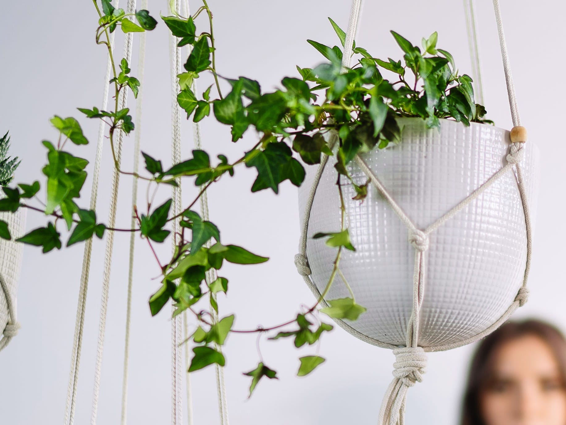 Several plants hang in front of a woman sitting against the wall out of focus