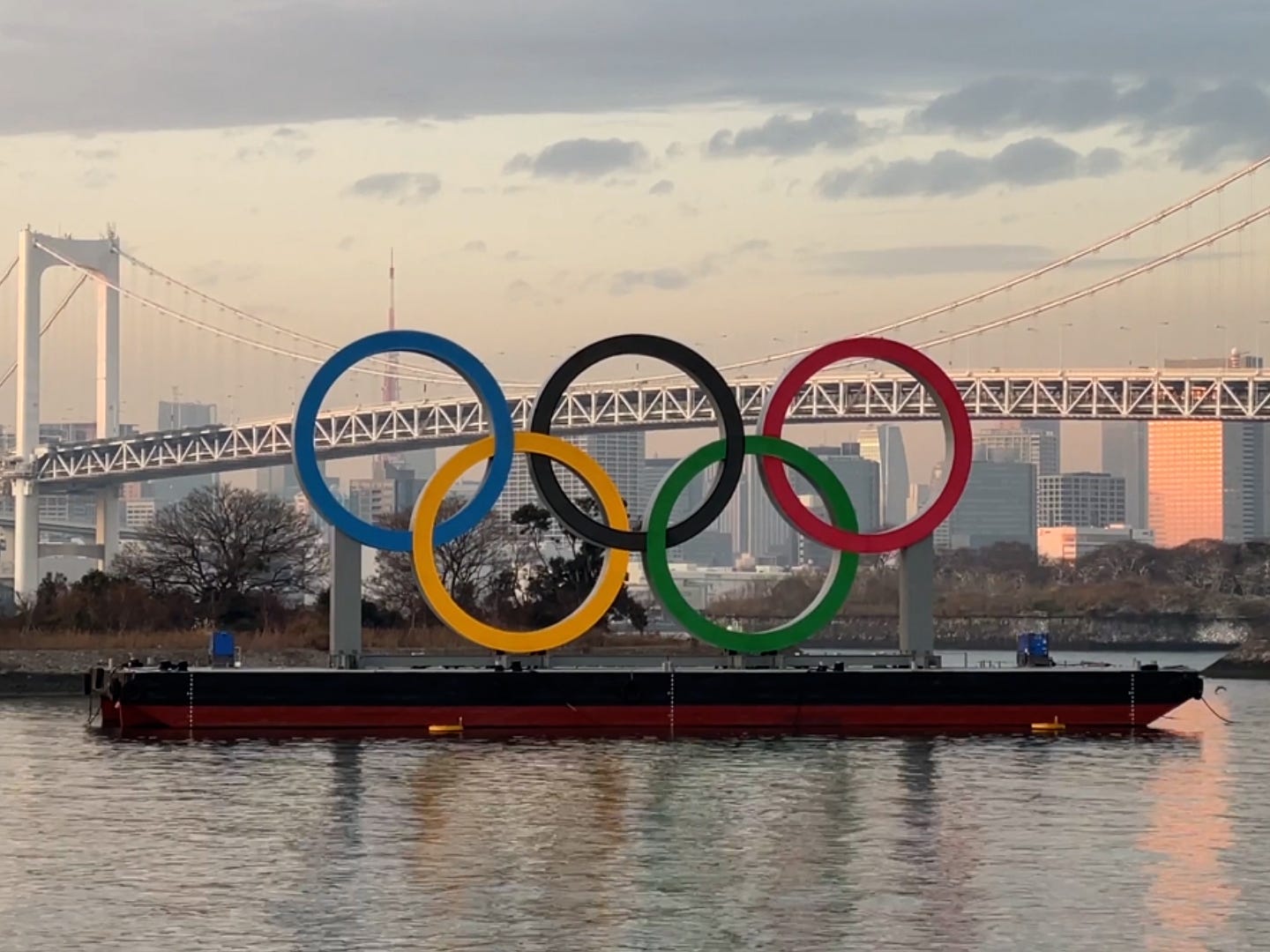 Tokyo's Olympic rings