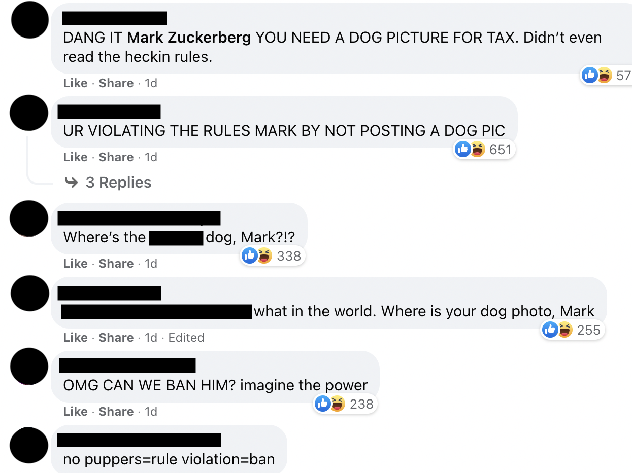 several Facebook comments about Mark Zuckerberg not posting a picture of his dog