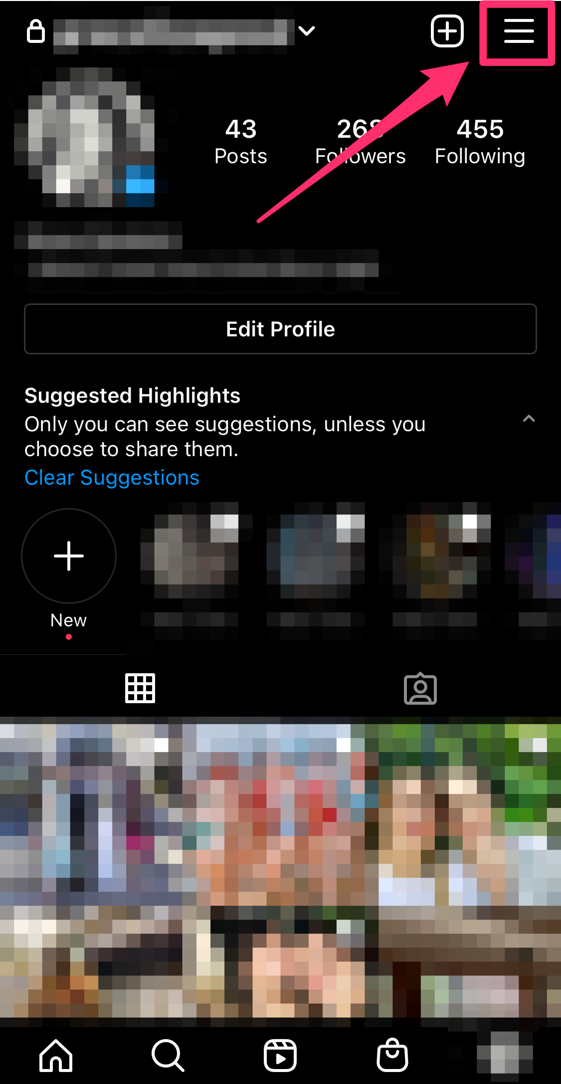 Screenshot of Instagram profile